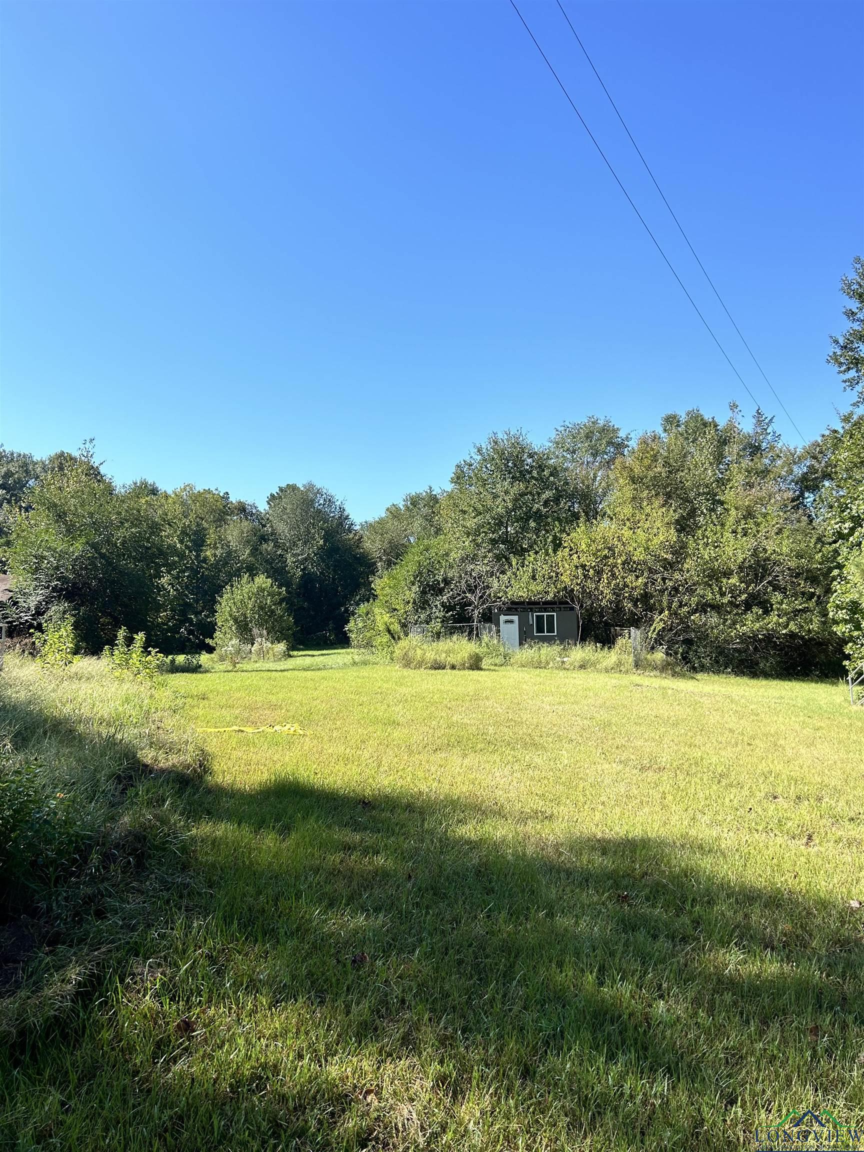 499 Mont Hall Rd, Hallsville, Texas image 3