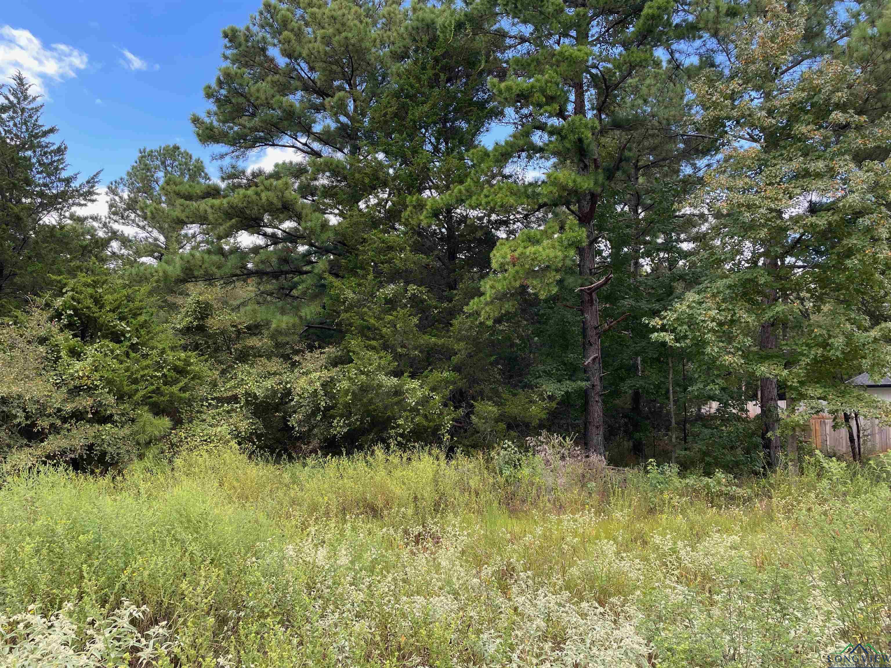 TBD Cedarpark Place Lot 16, Lindale, Texas image 1