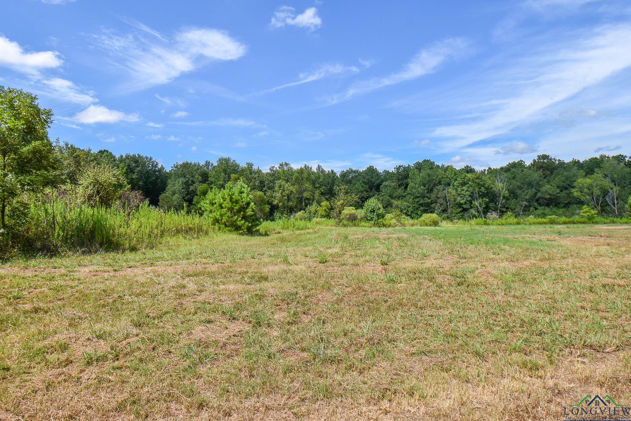 TBD Godfrey Rd, Longview, Texas image 2
