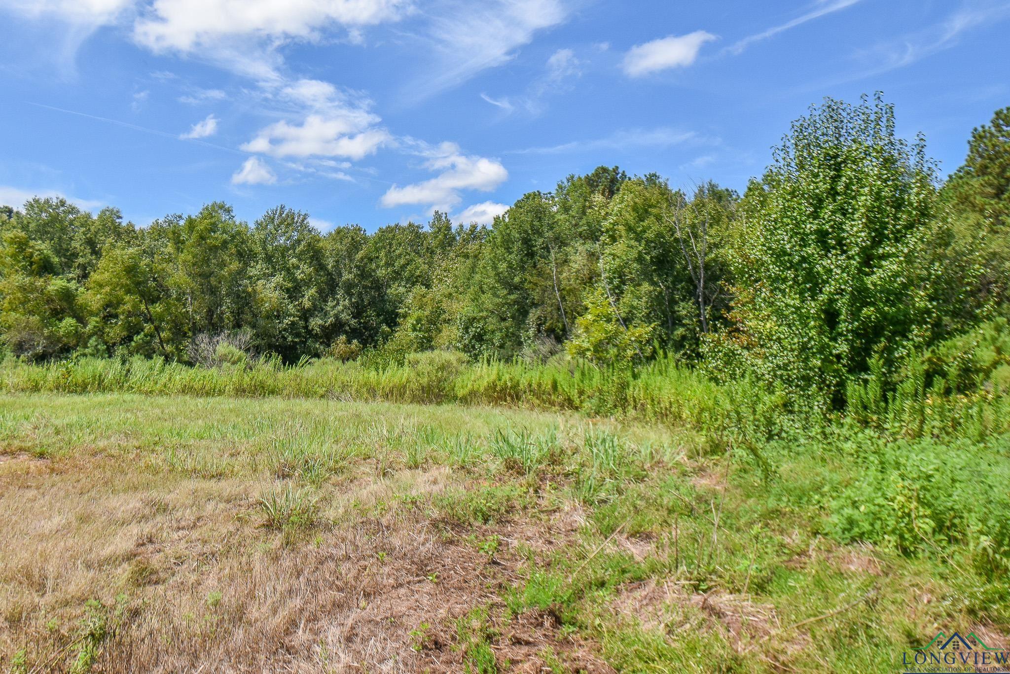 TBD Godfrey Rd, Longview, Texas image 4