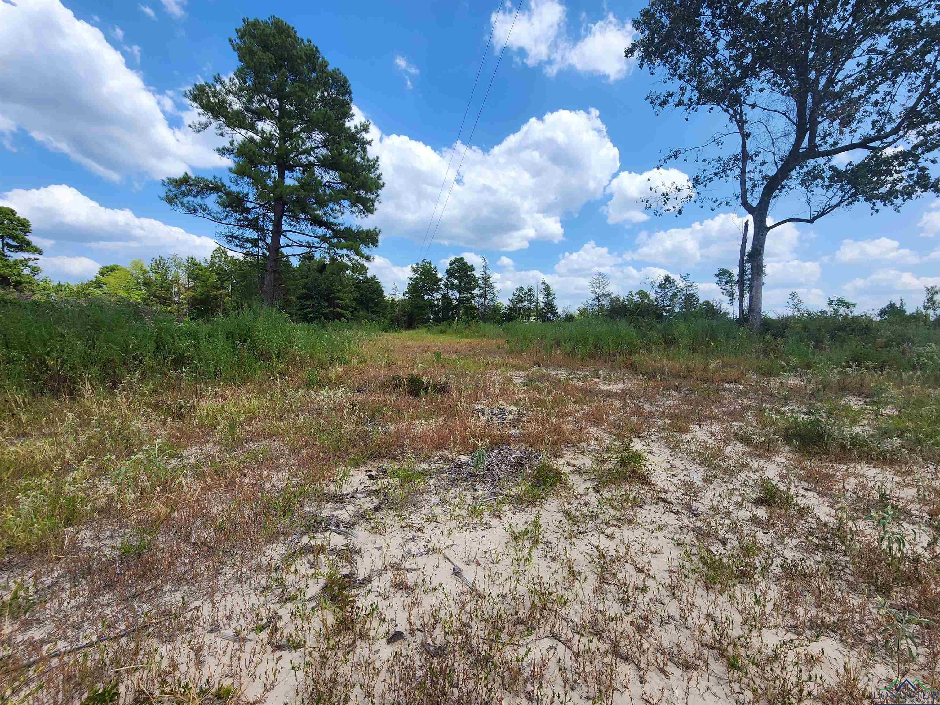 TBD County Road 1762, Tract 5, 8.5 Acres, Jefferson, Texas image 7