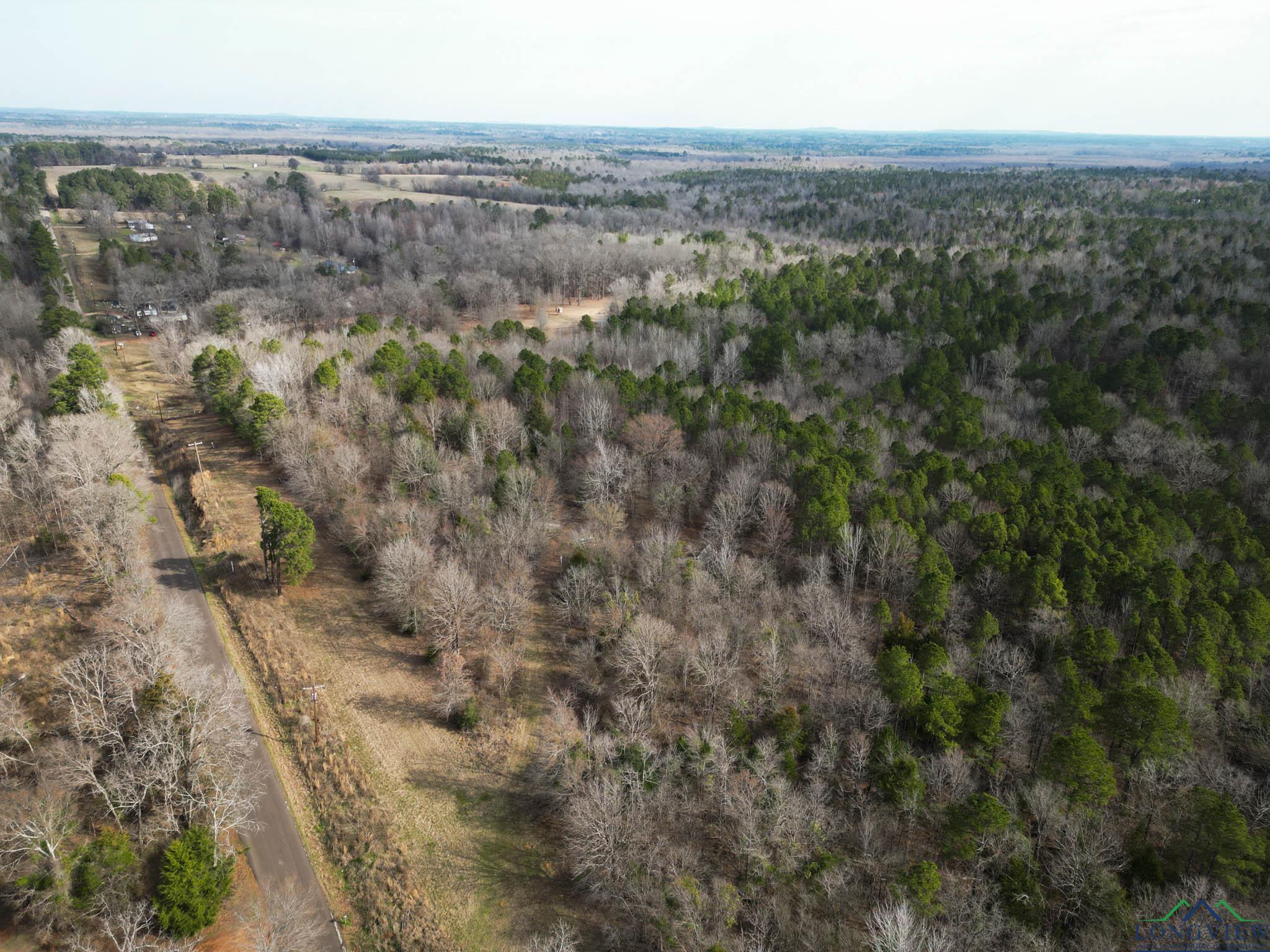 20113 Starnes Loop, Gladewater, Texas image 12