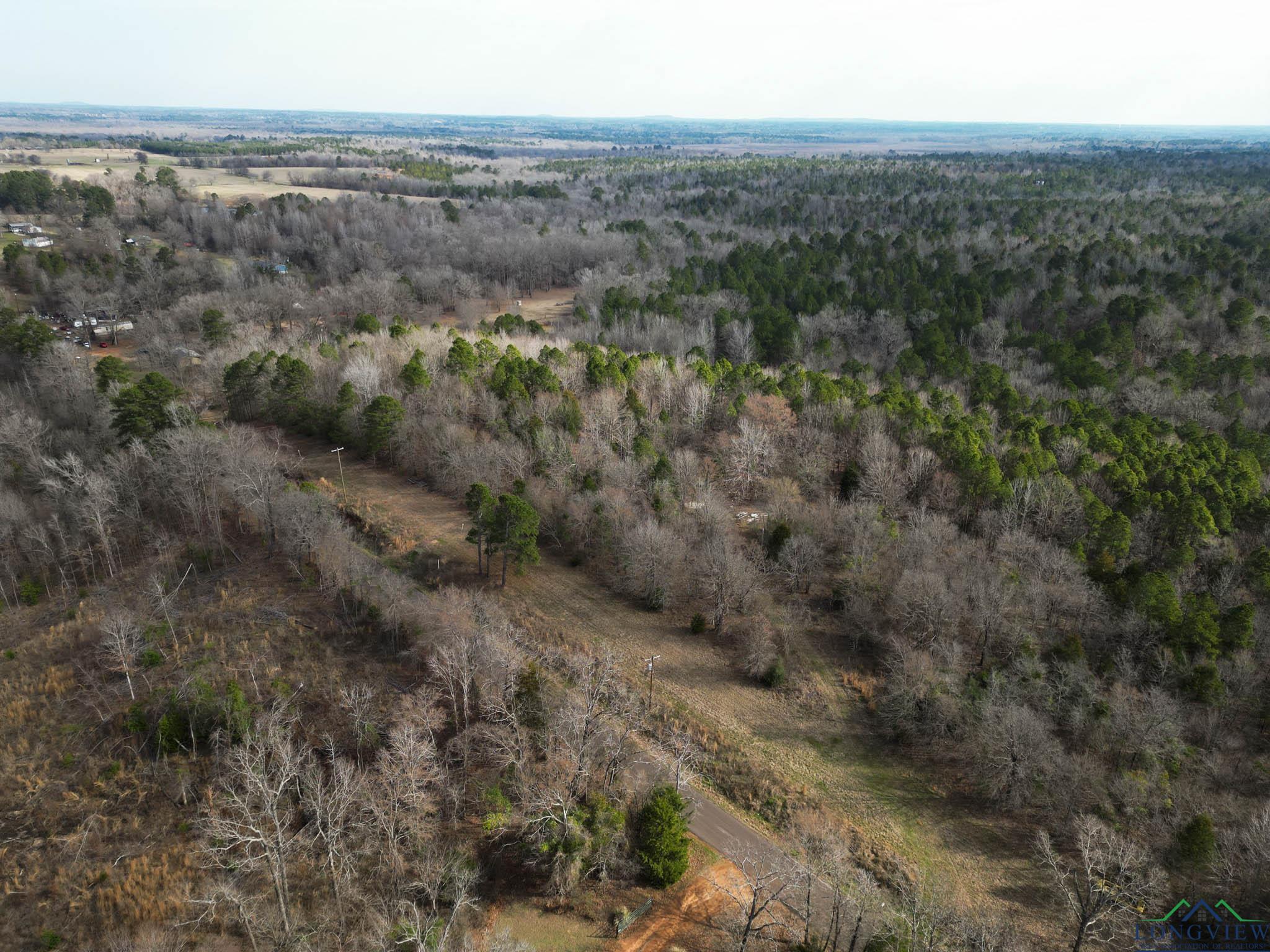 20113 Starnes Loop, Gladewater, Texas image 9