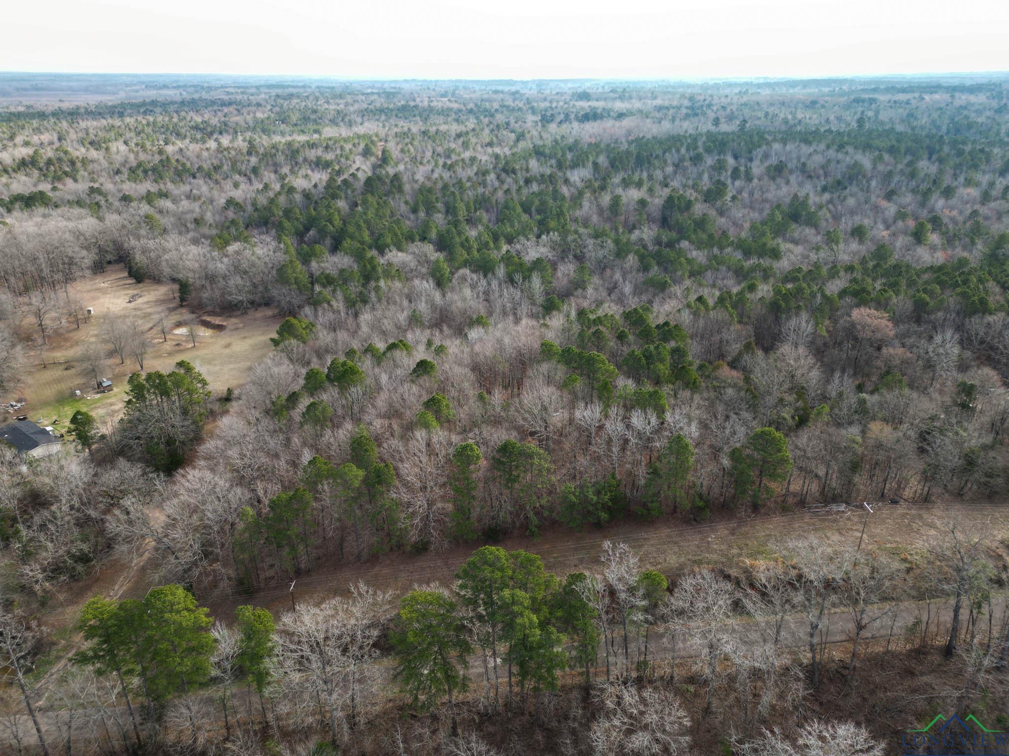 20113 Starnes Loop, Gladewater, Texas image 2