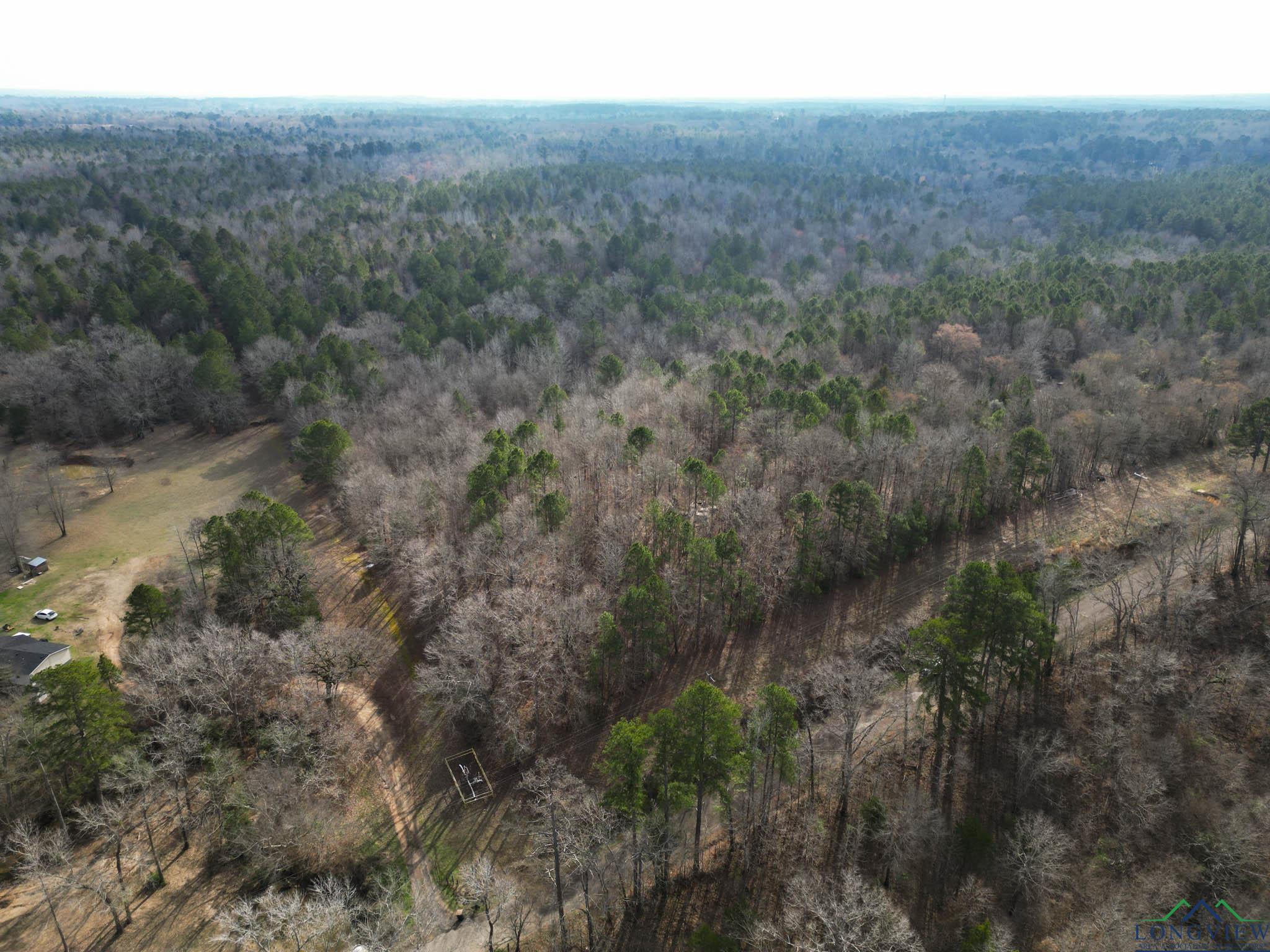 20113 Starnes Loop, Gladewater, Texas image 3