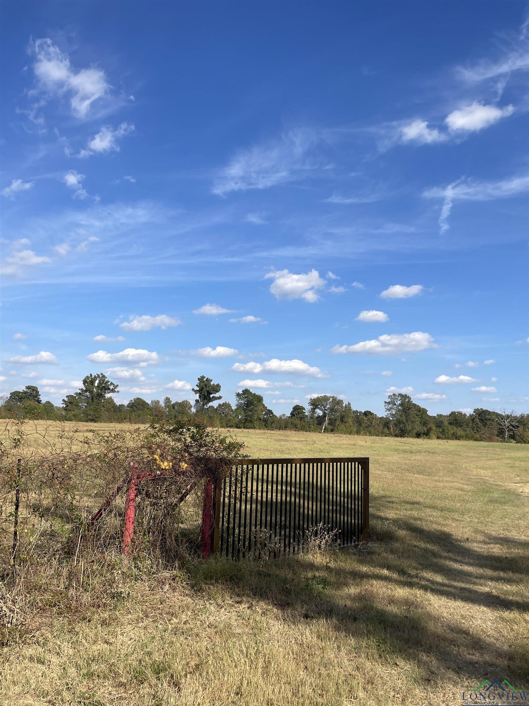 TBD Cr 3216, Pittsburg, Texas image 2