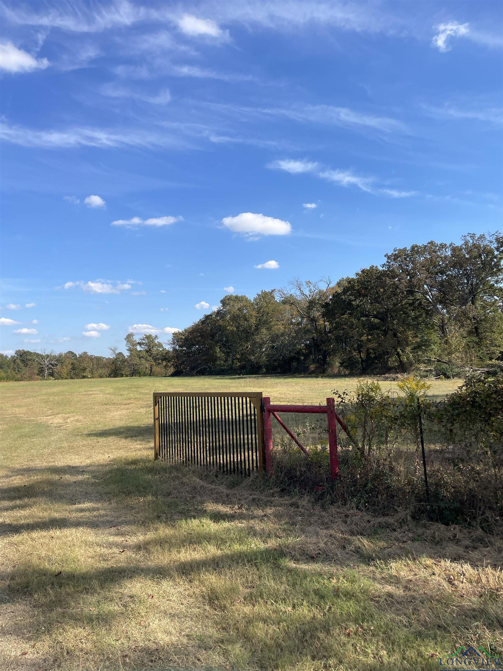 TBD Cr 3216, Pittsburg, Texas image 3