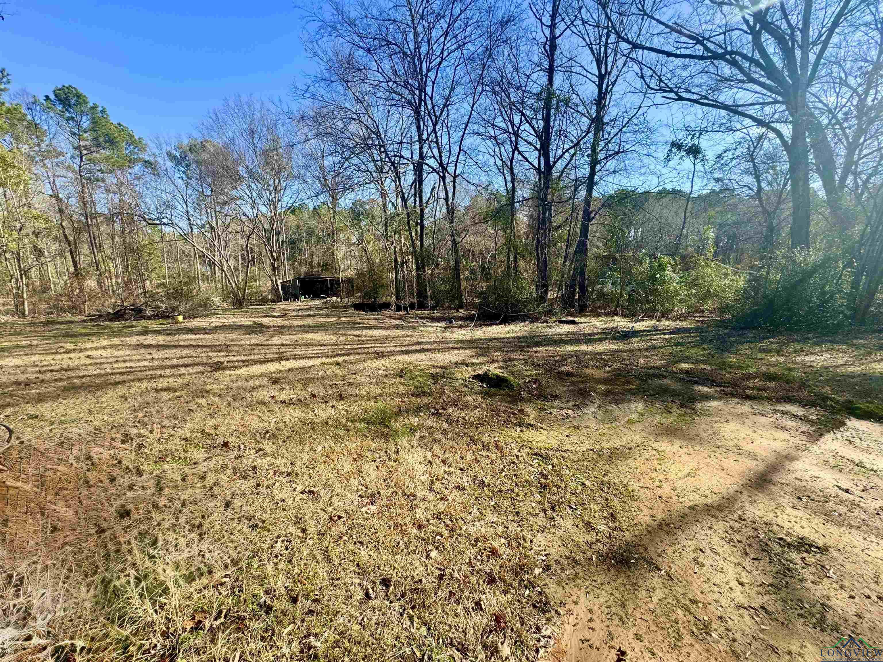 4615 S Sego Lily Rd, New Diana, Texas image 4