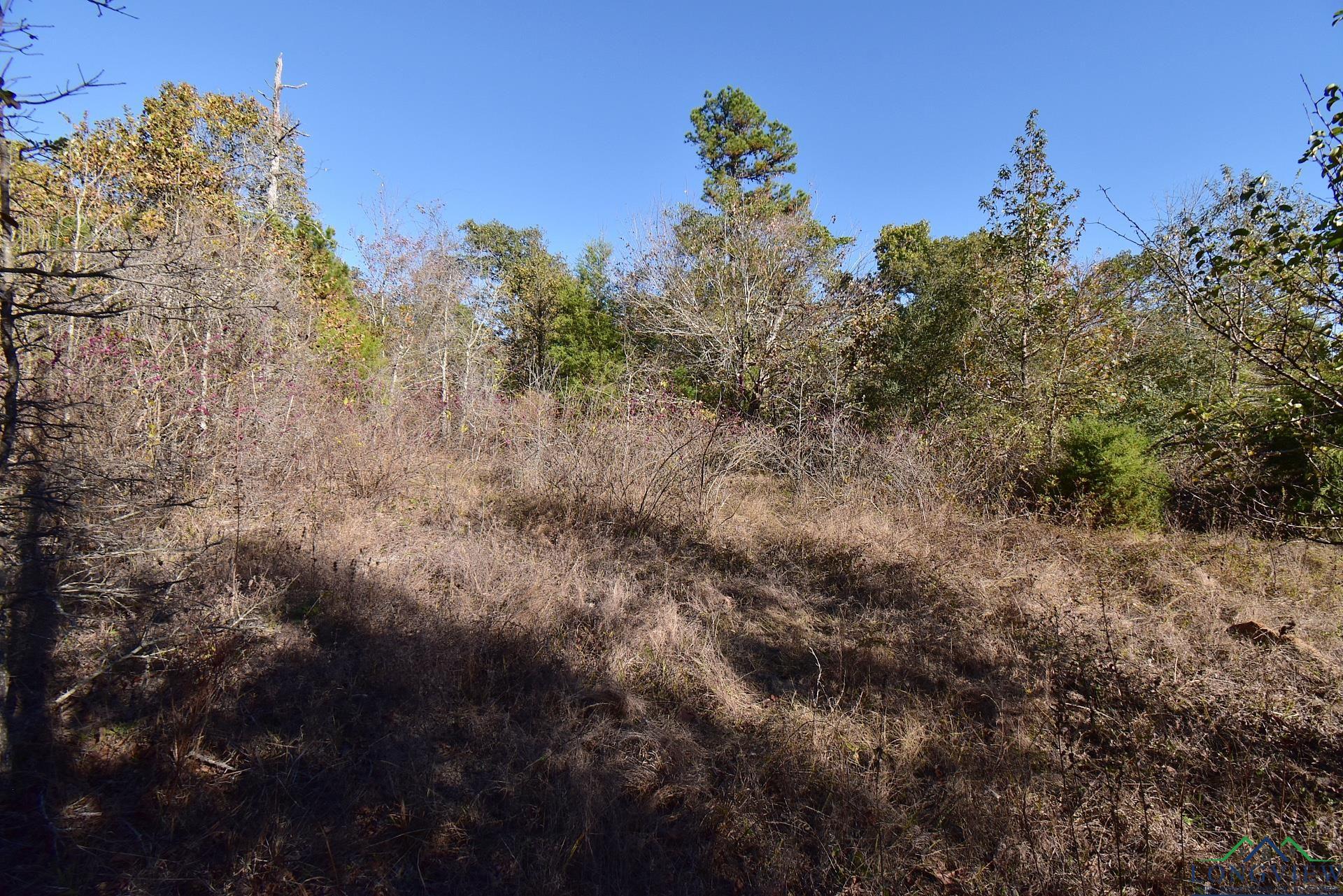 TBD Fm 2869, Hawkins, Texas image 6