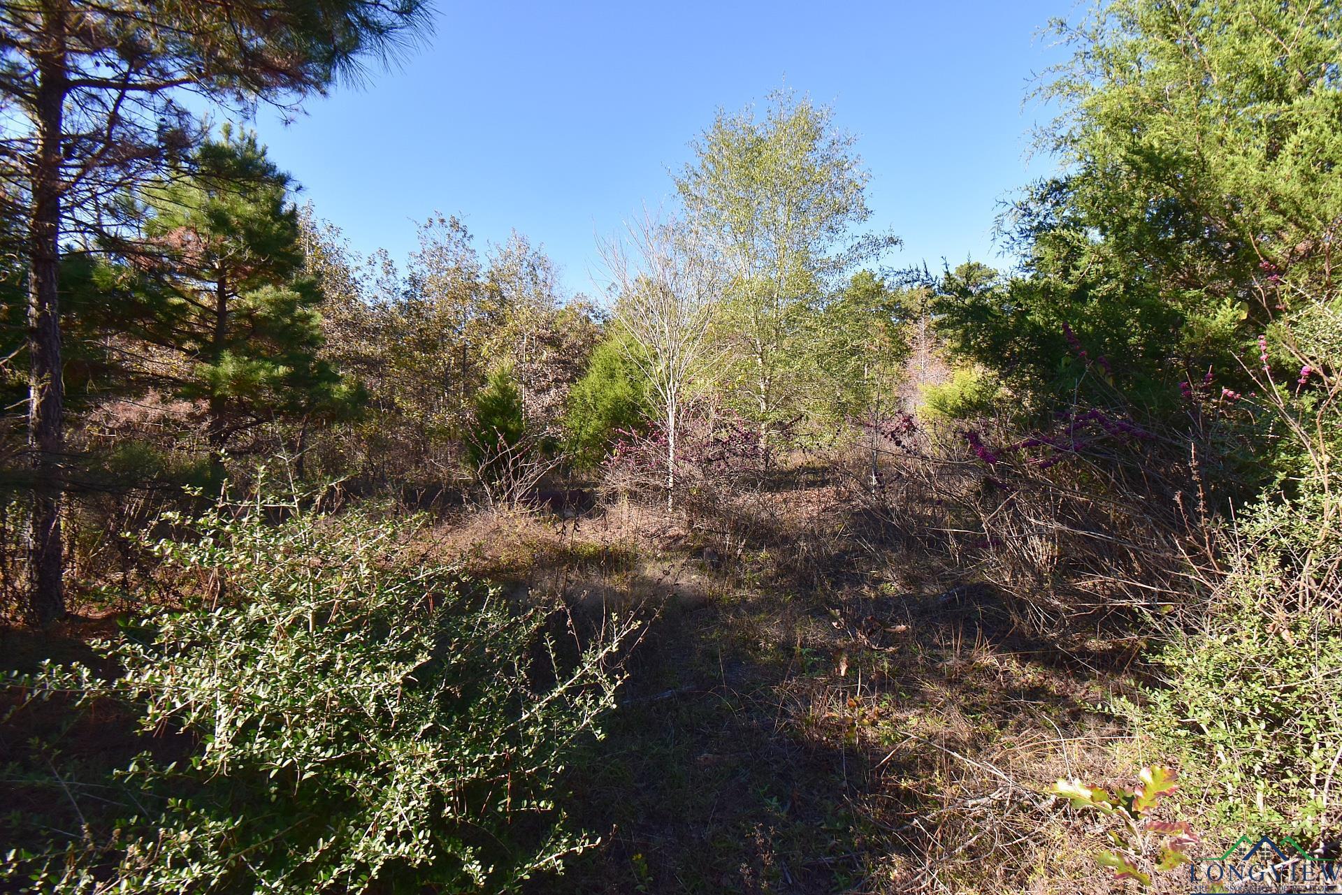 TBD Fm 2869, Hawkins, Texas image 7