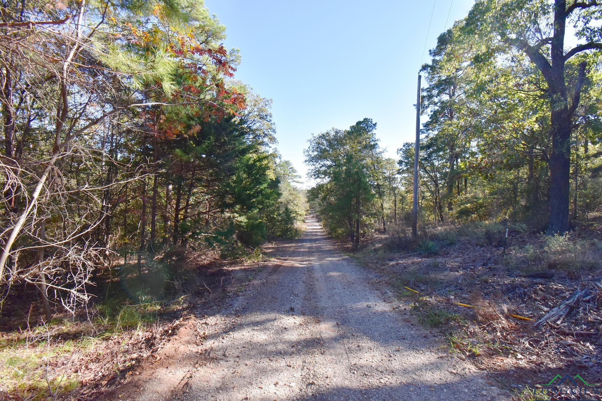 TBD Fm 2869, Hawkins, Texas image 1