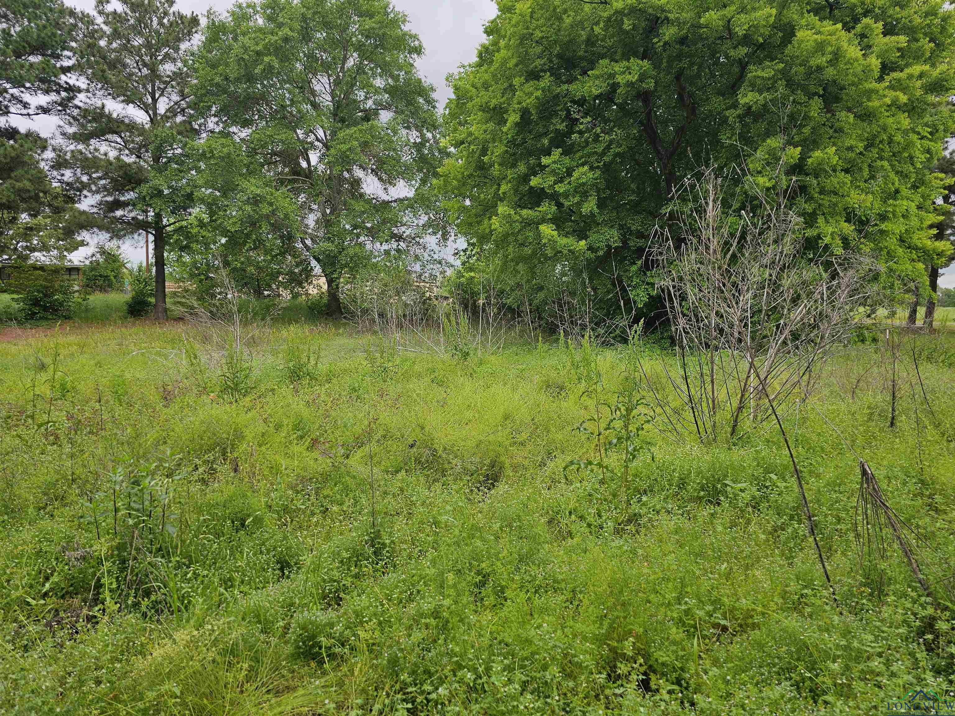 TBD Cr 2501, Mineola, Texas image 8