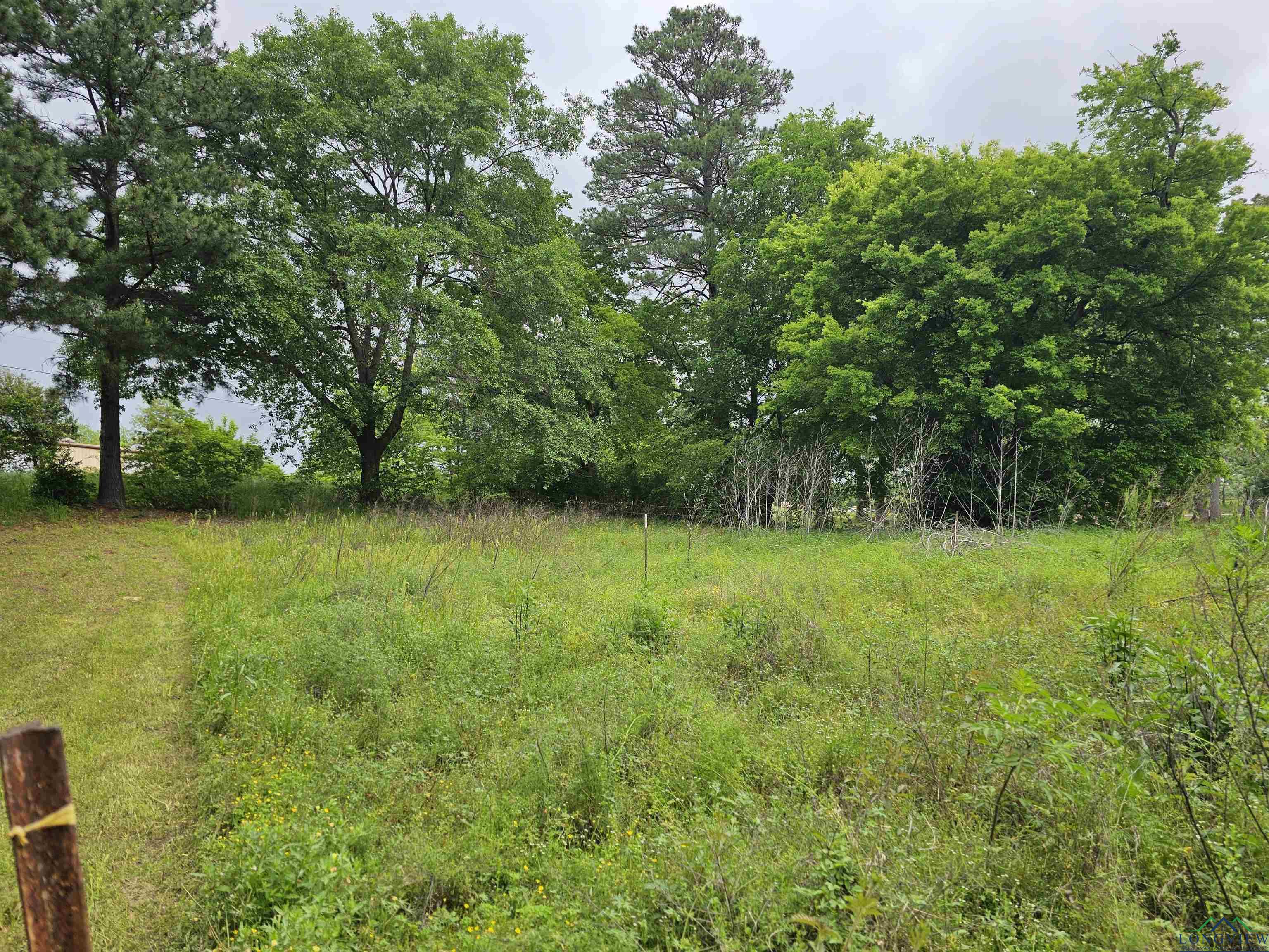 TBD Cr 2501, Mineola, Texas image 9