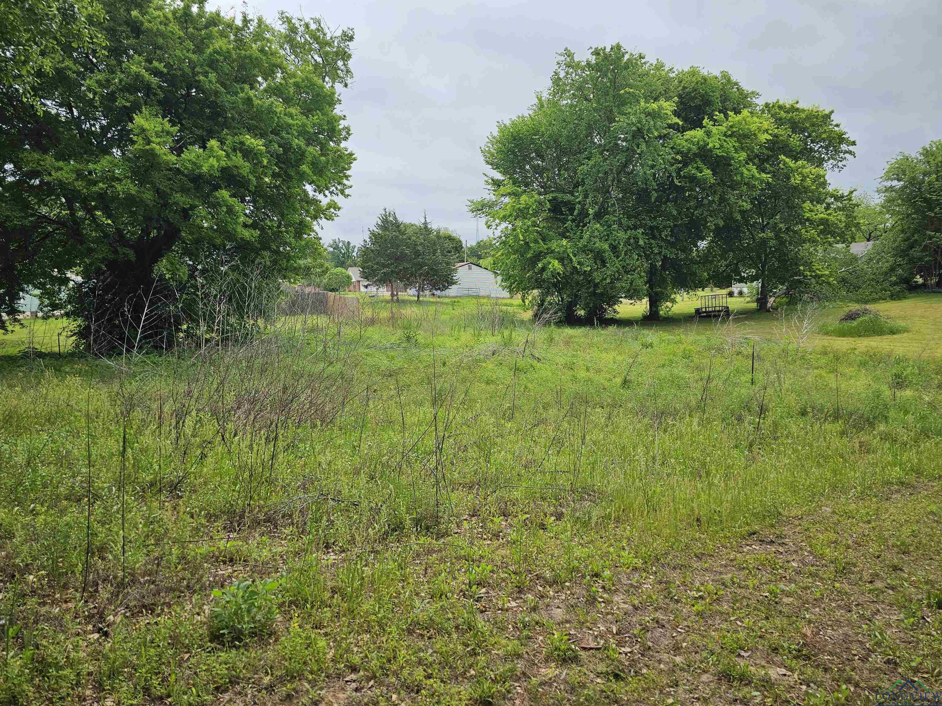 TBD Cr 2501, Mineola, Texas image 10