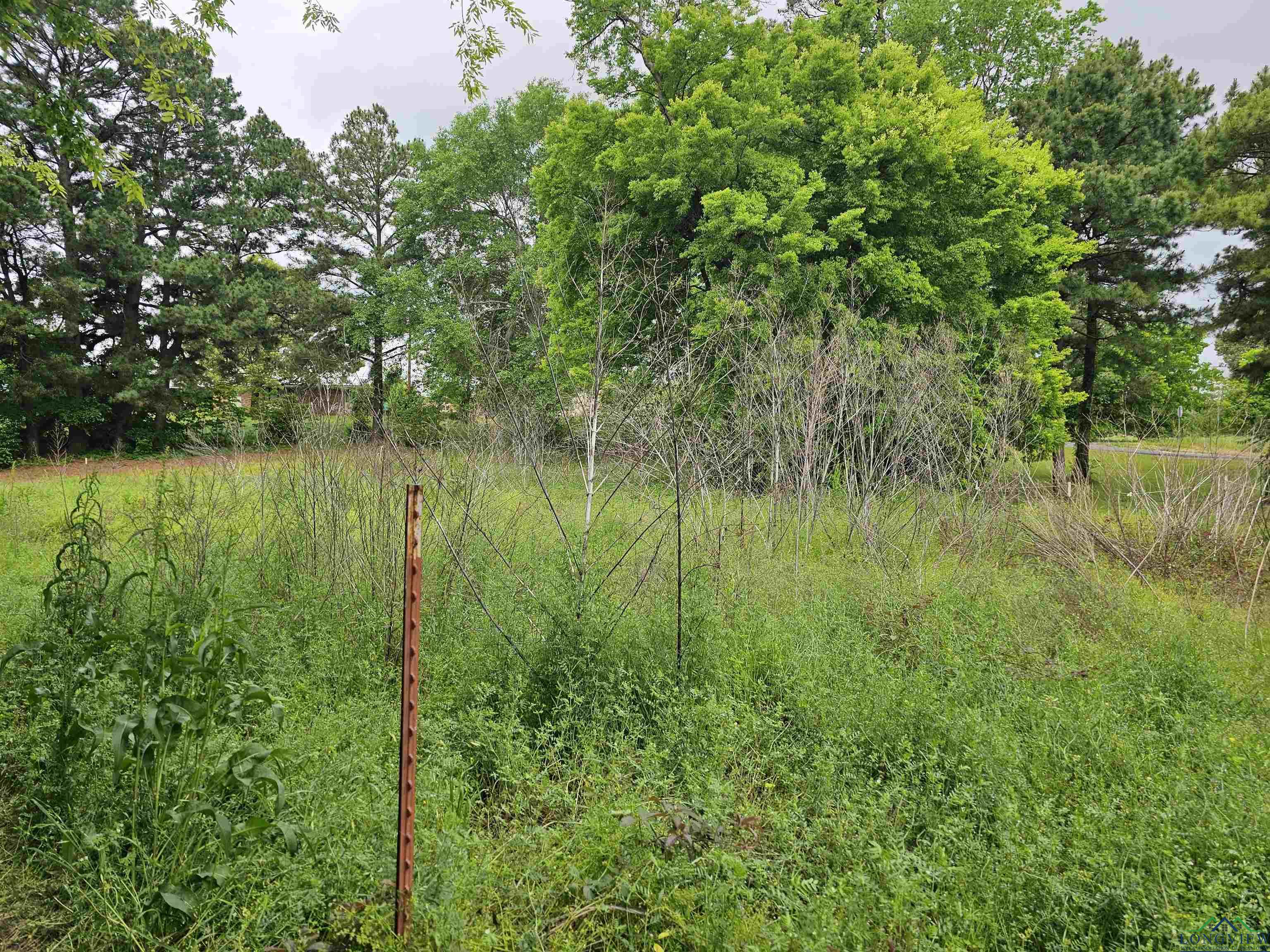 TBD Cr 2501, Mineola, Texas image 7