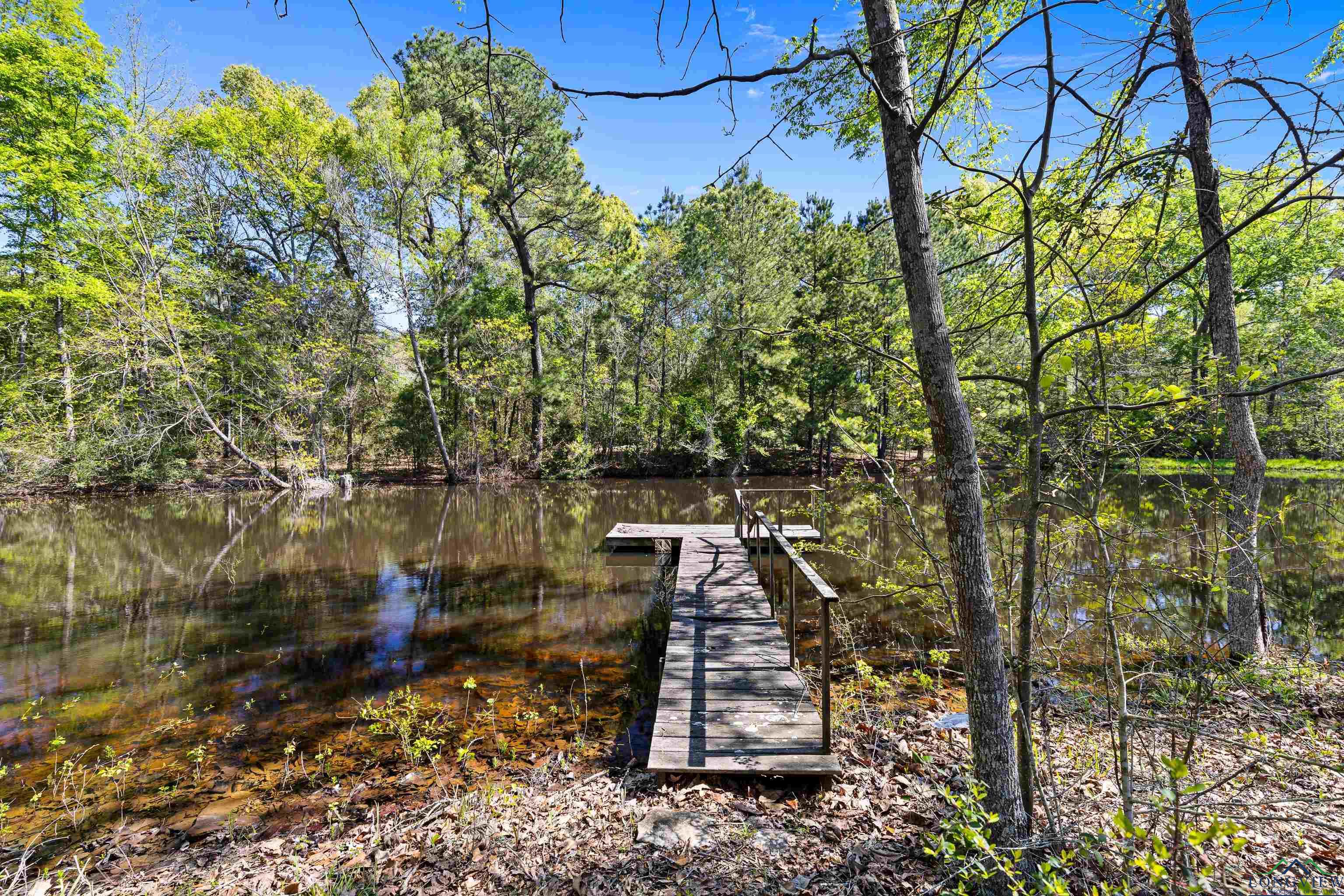 TBD County Road 163, Long Branch, Texas image 4