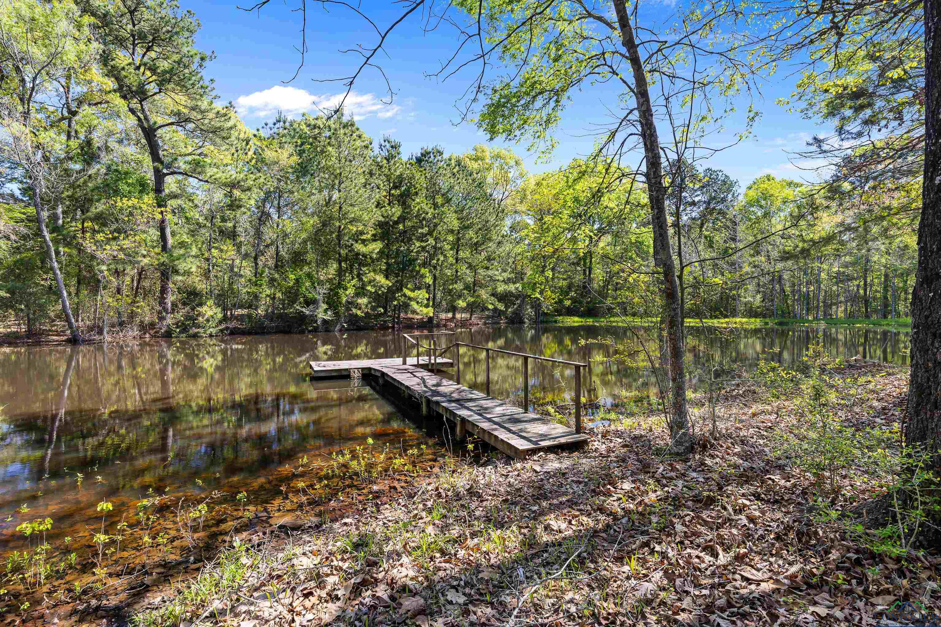 TBD County Road 163, Long Branch, Texas image 18