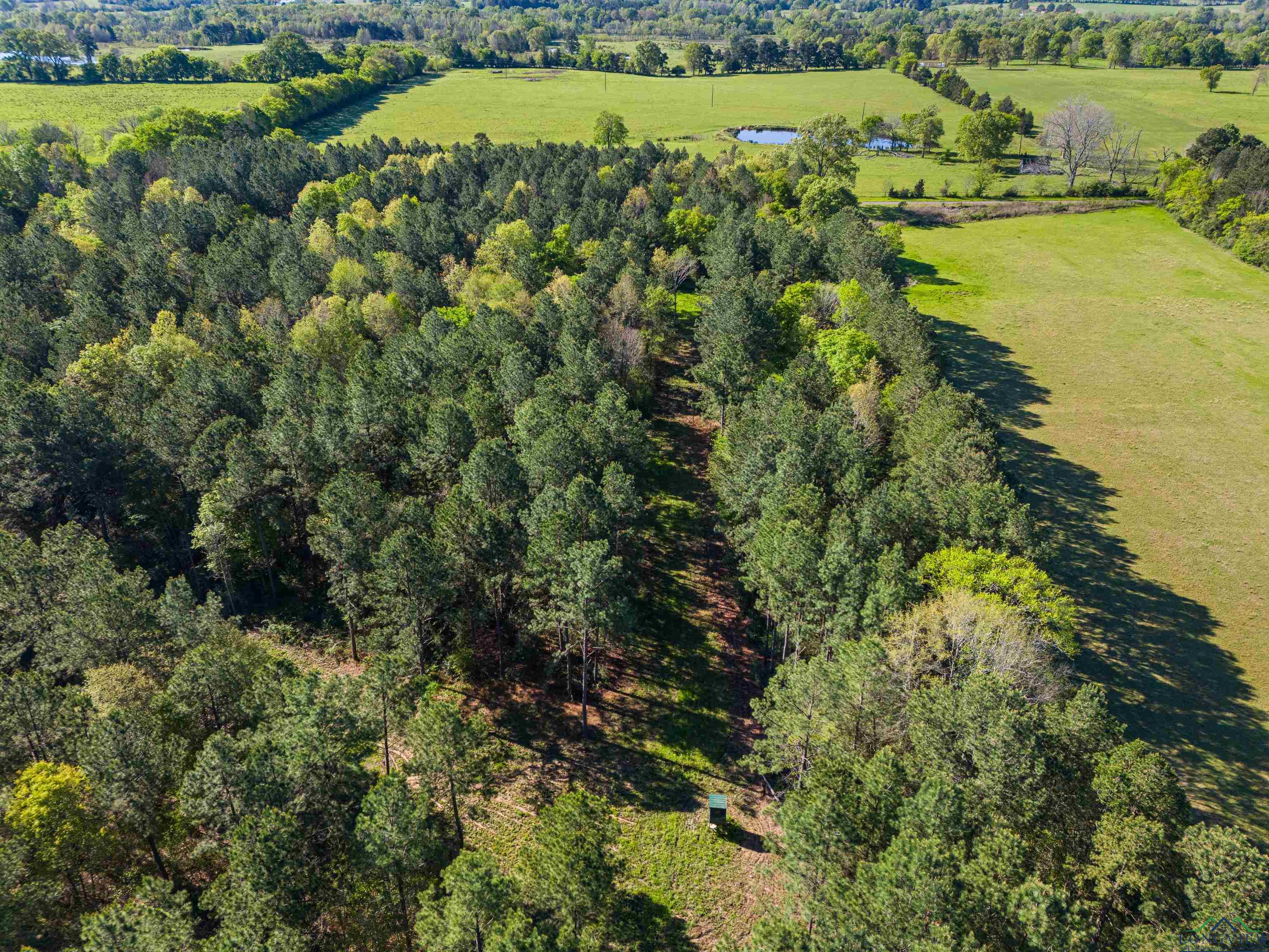 TBD County Road 163, Long Branch, Texas image 22