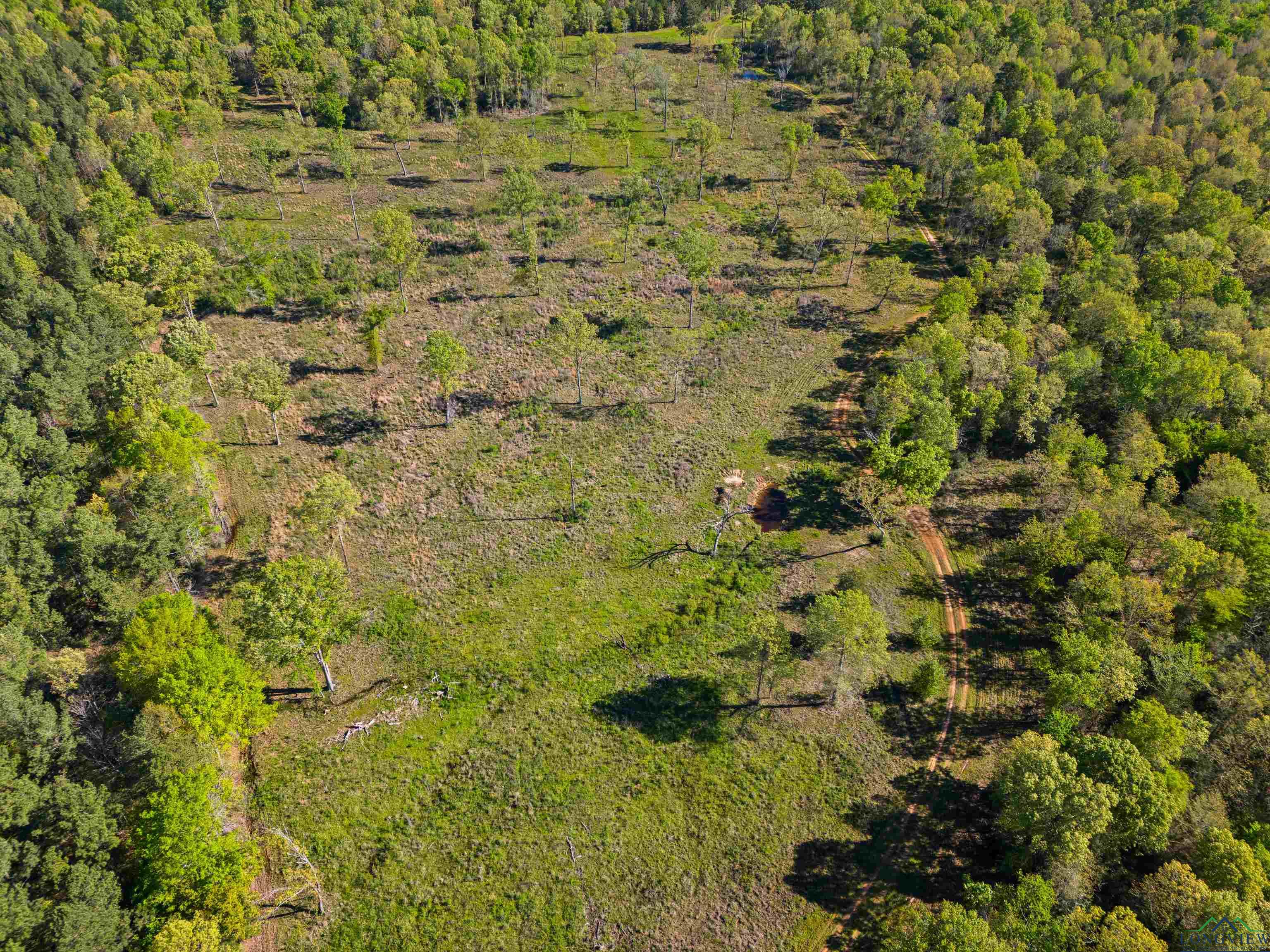 TBD County Road 163, Long Branch, Texas image 21