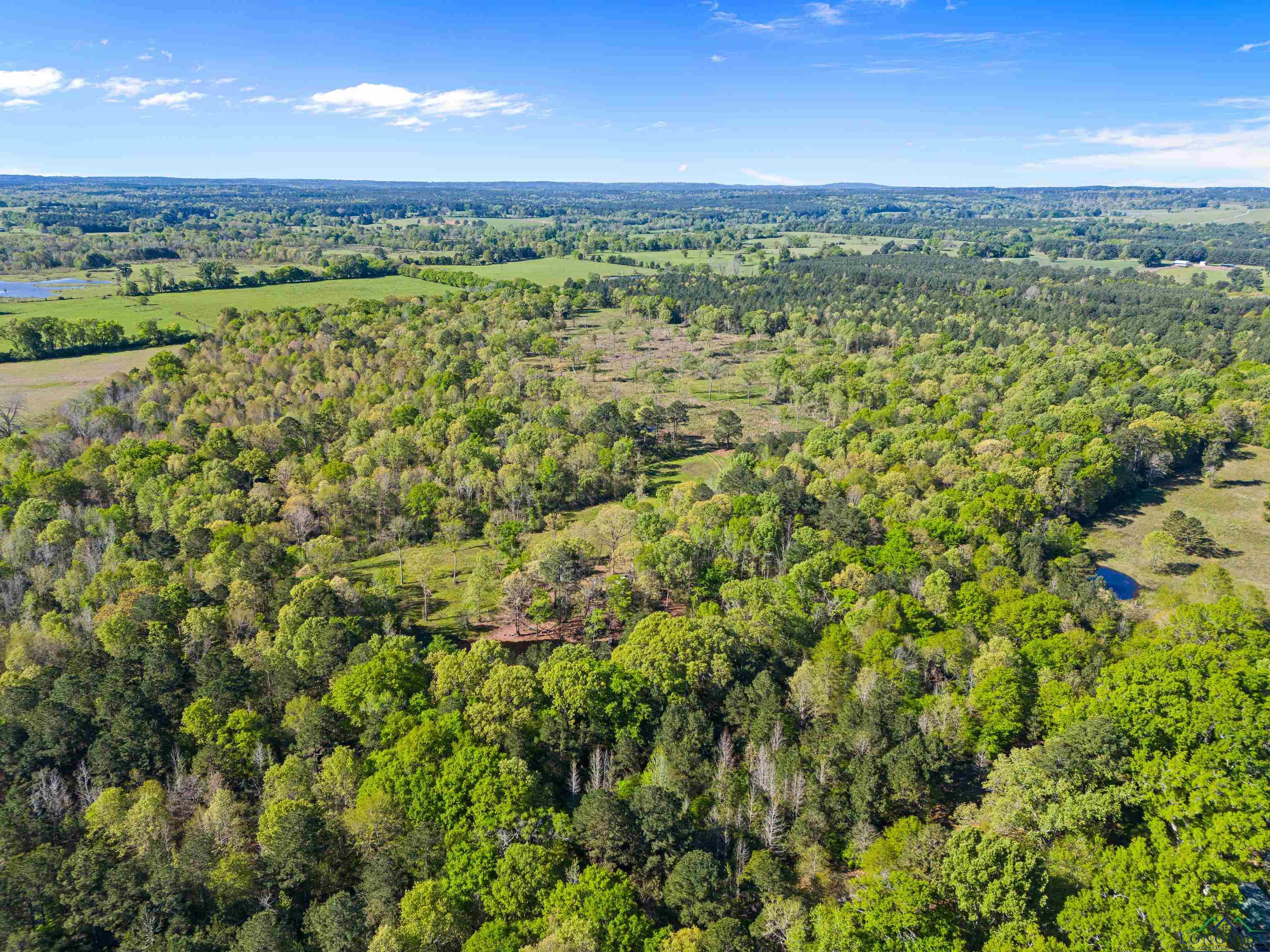 TBD County Road 163, Long Branch, Texas image 25