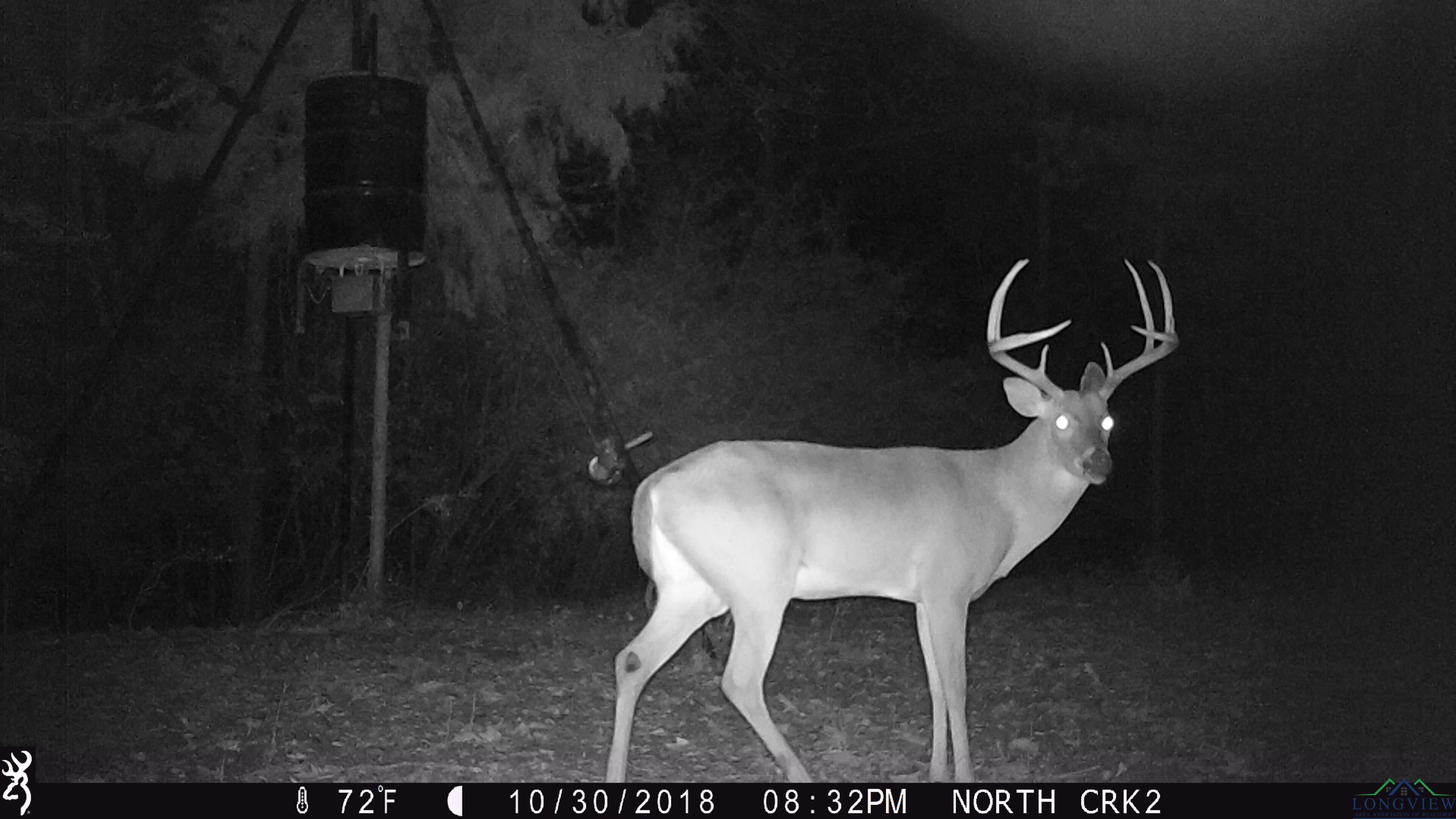 TBD County Road 163, Long Branch, Texas image 3