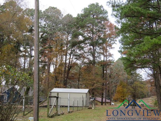 1179 Lock Mountain Rd, Avinger, Texas image 2