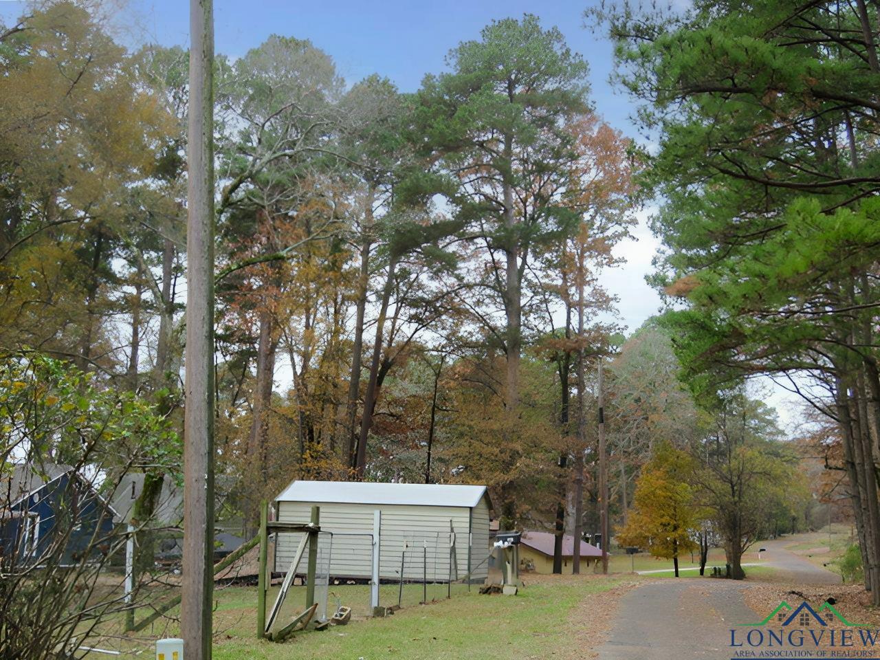 1179 Lock Mountain Rd, Avinger, Texas image 14