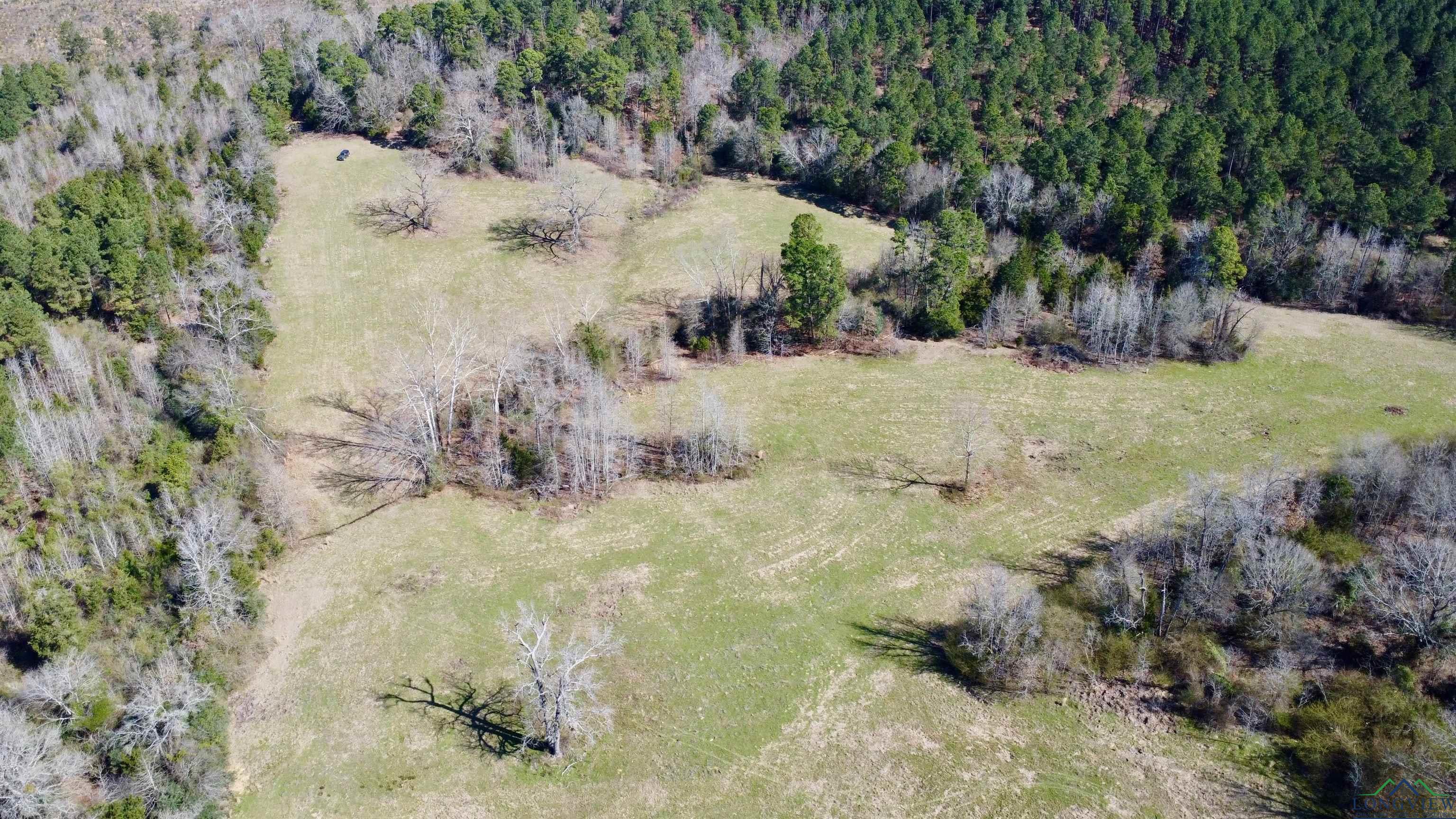 TBD Hwy 11, Hughes Springs, New Mexico image 13