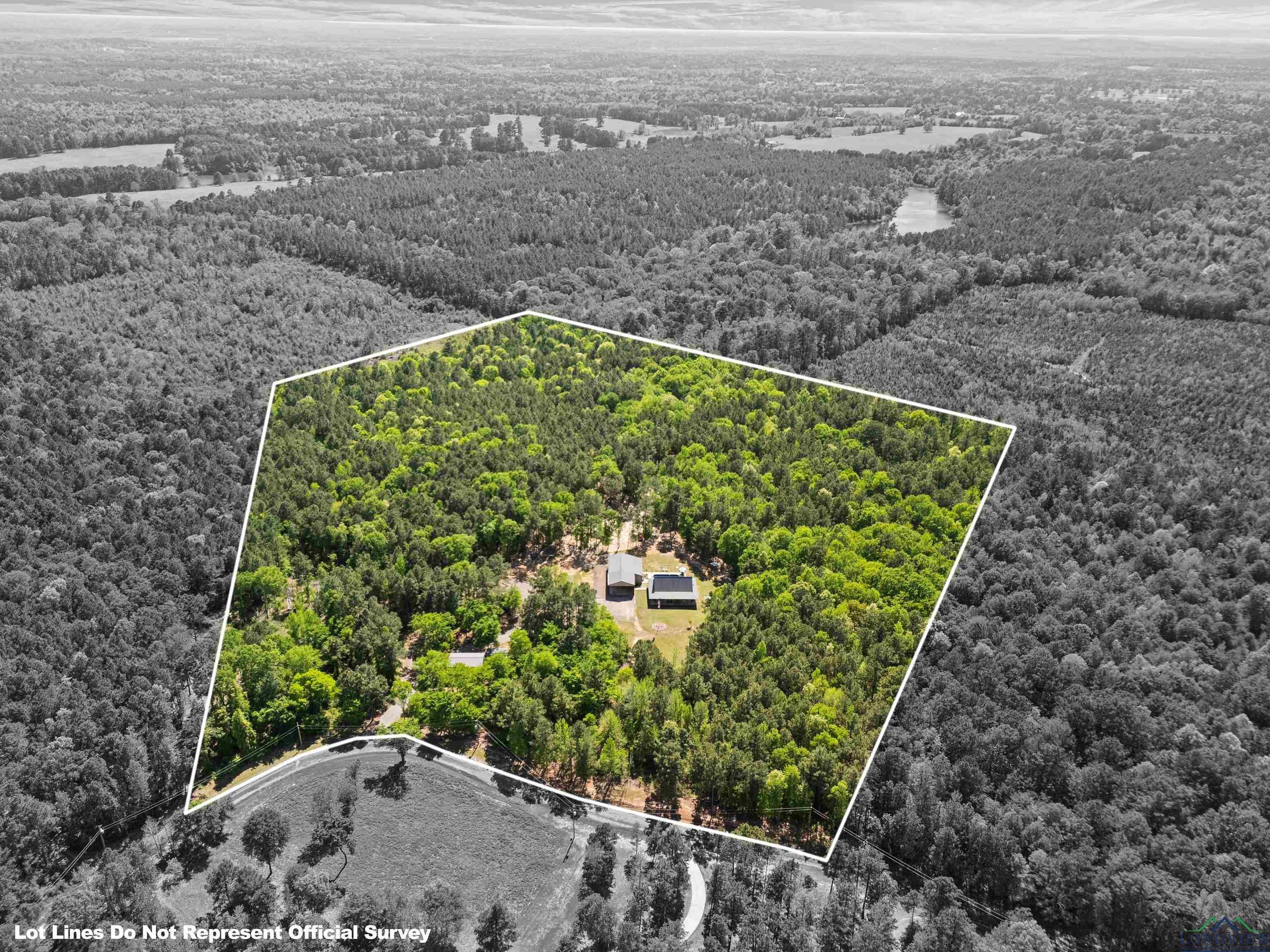 10586 Petunia Rd, Ore City, Texas image 4