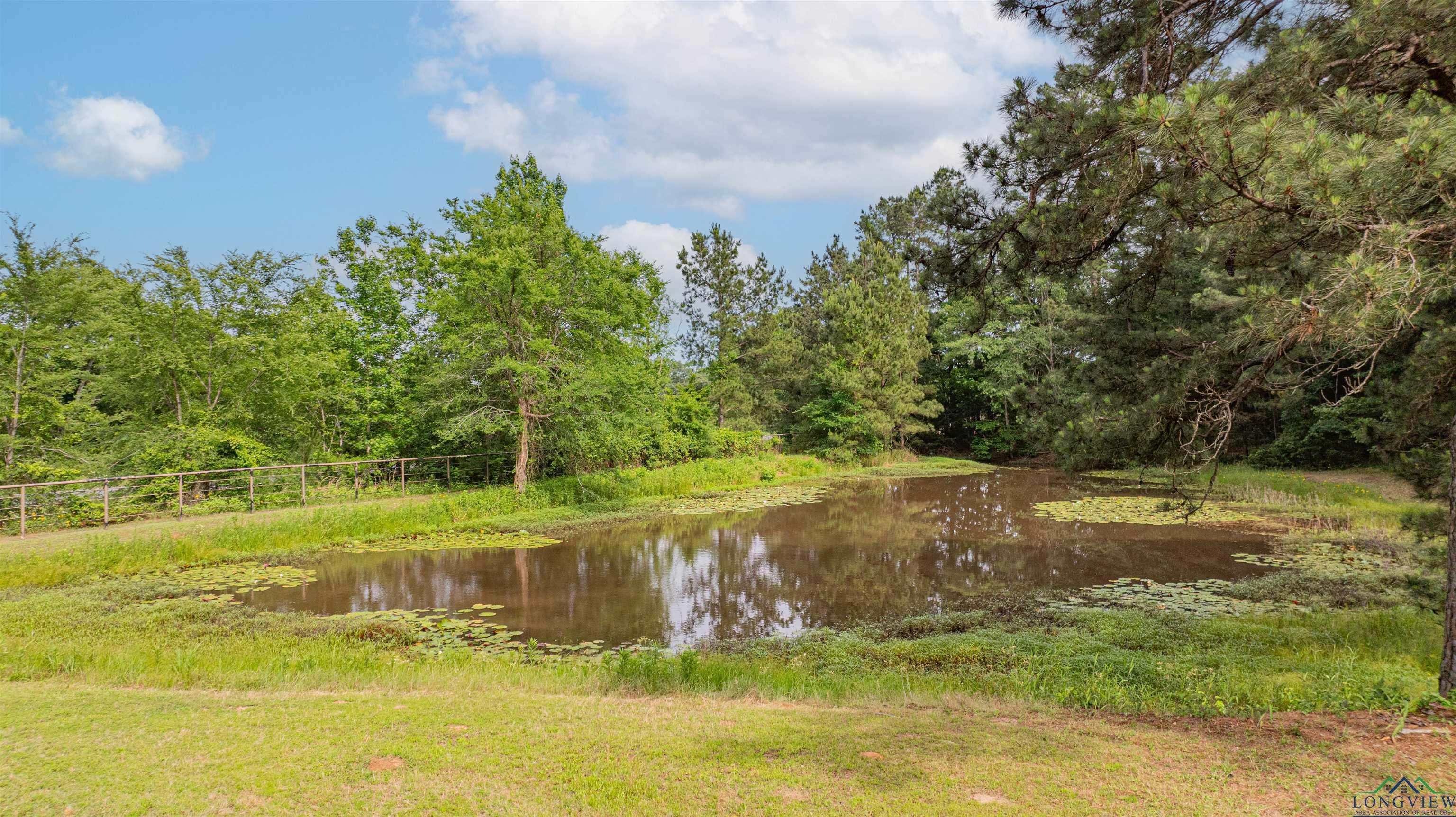 4099 S Old Hwy 135, Kilgore, Texas image 41