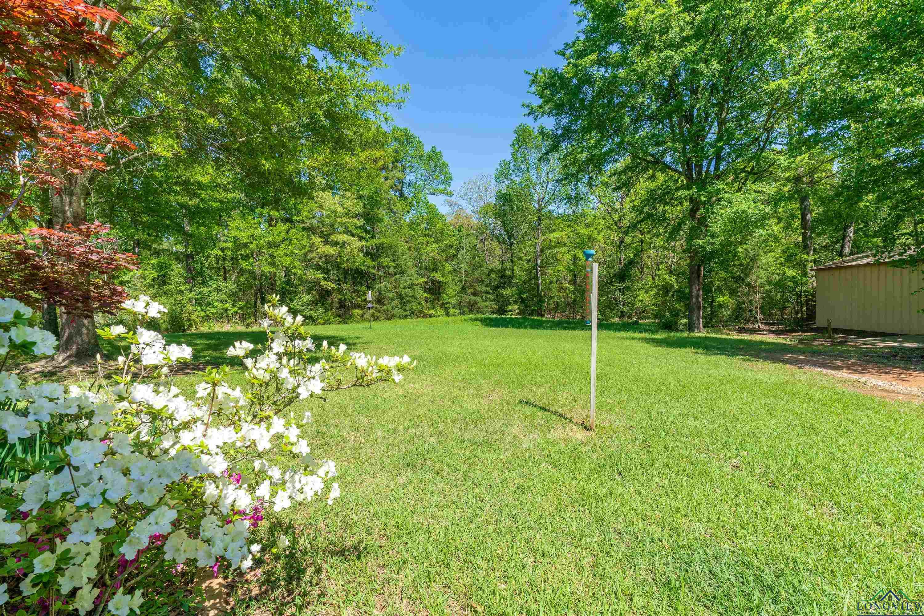 534 Plum Creek Rd, Longview, Texas image 38