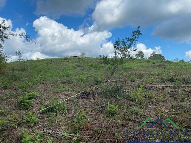 9133 Cr 817 Road, Nacogdoches, Texas image 2