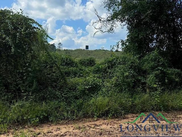 9133 Cr 817 Road, Nacogdoches, Texas image 3