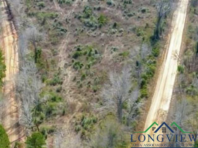 9133 Cr 817 Road, Nacogdoches, Texas image 8