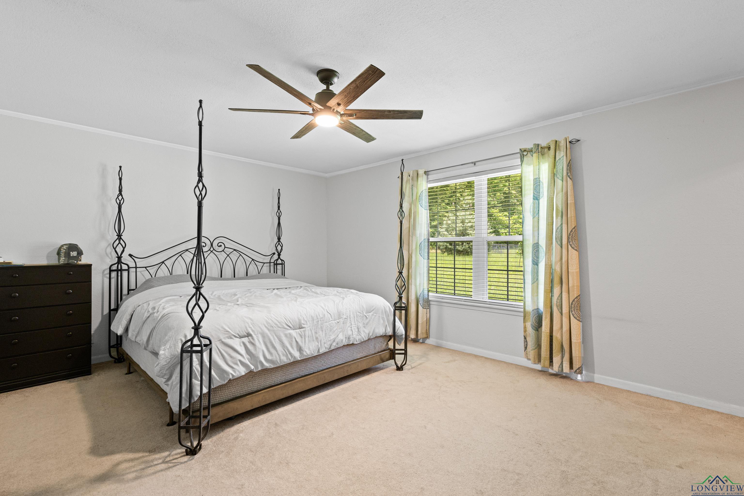 325 County Road 1081, Carthage, Texas image 31