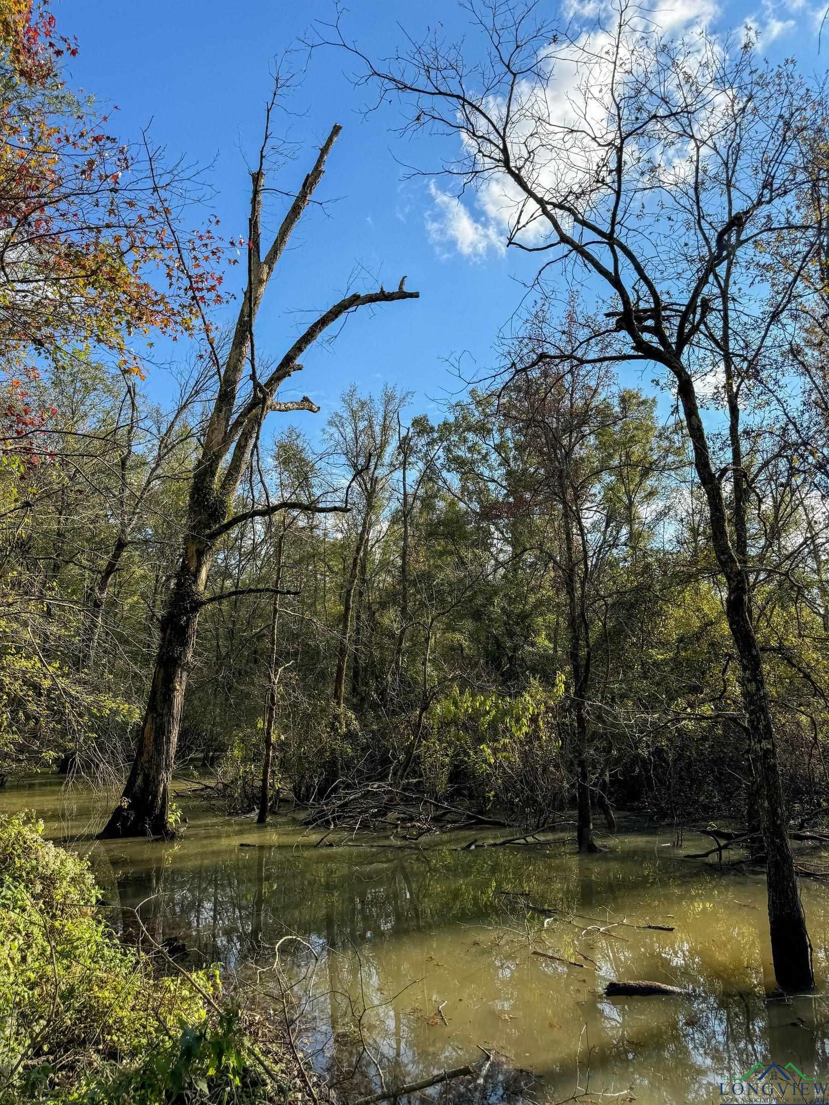 0000 County Road 2925, Hughes Springs, Texas image 10