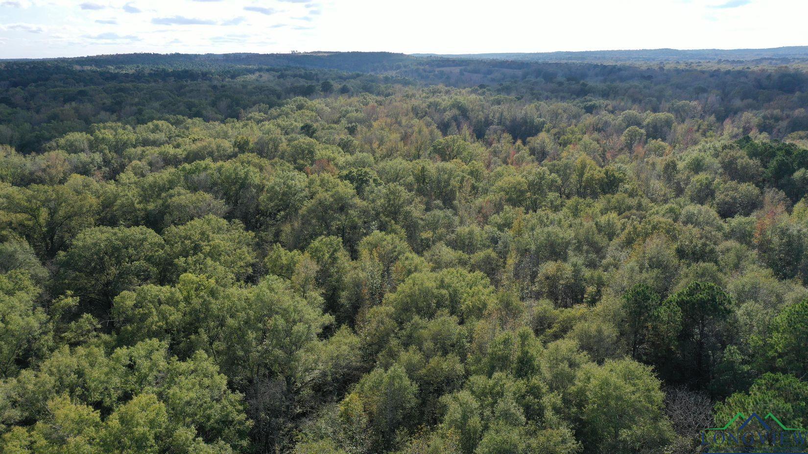 0000 County Road 2925, Hughes Springs, Texas image 18