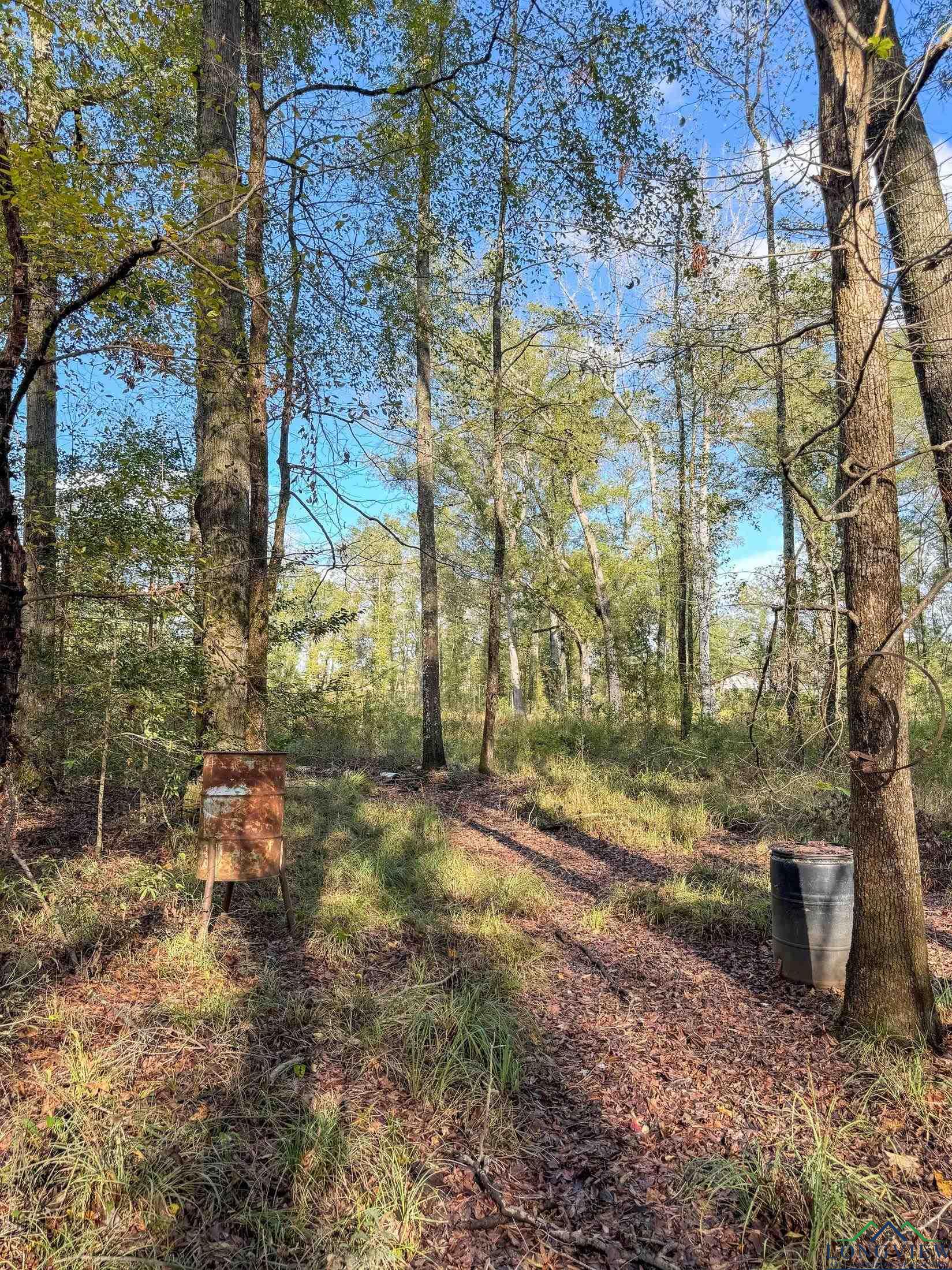 0000 County Road 2925, Hughes Springs, Texas image 8