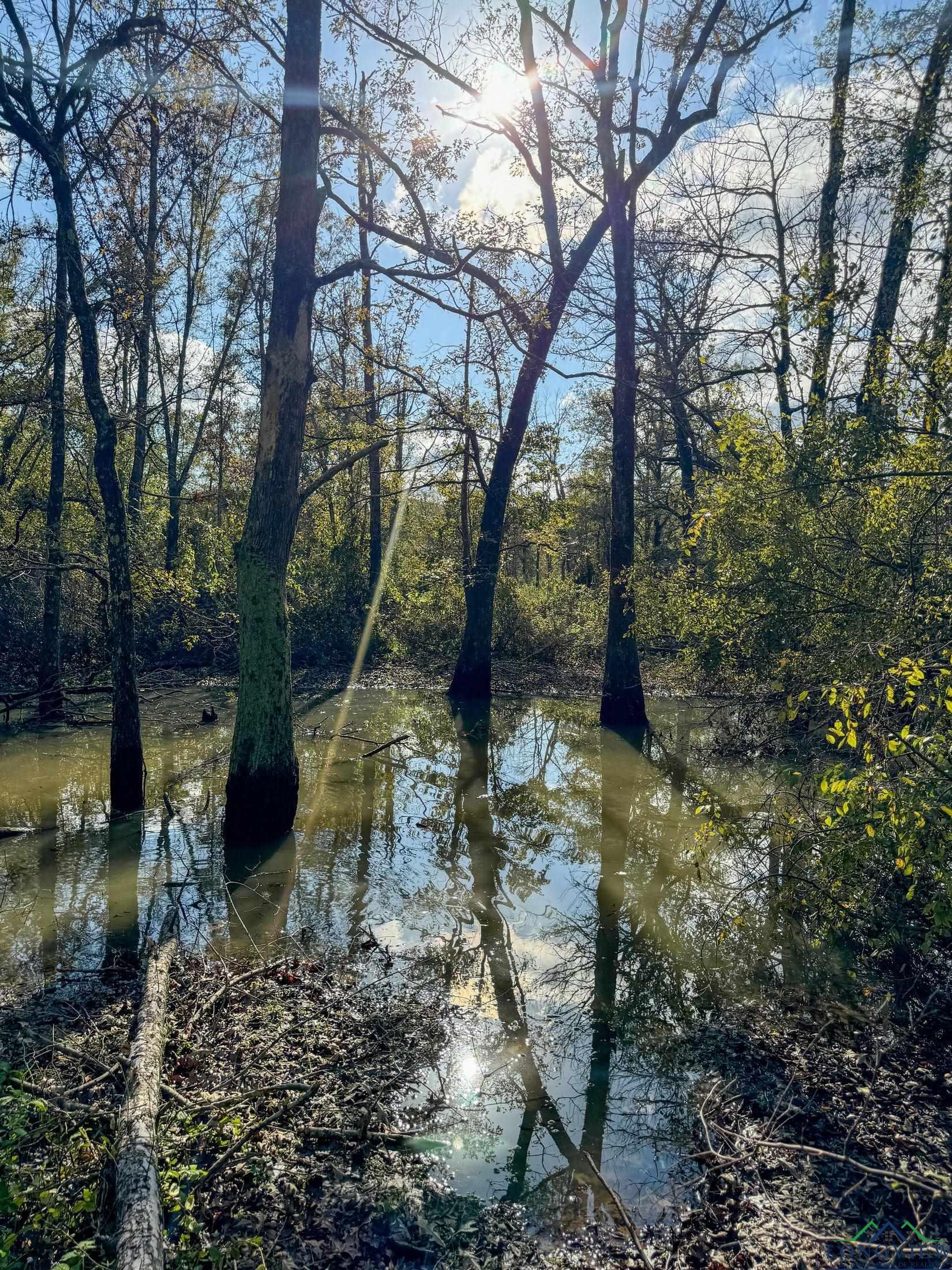 0000 County Road 2925, Hughes Springs, Texas image 9