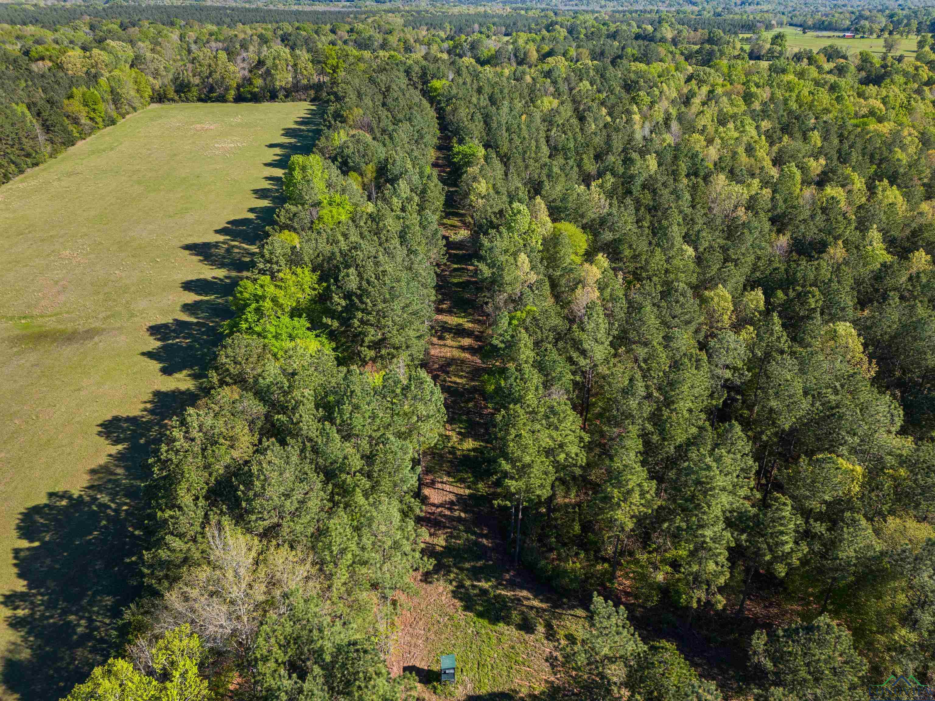 TBD County Road 163, Long Branch, Texas image 7