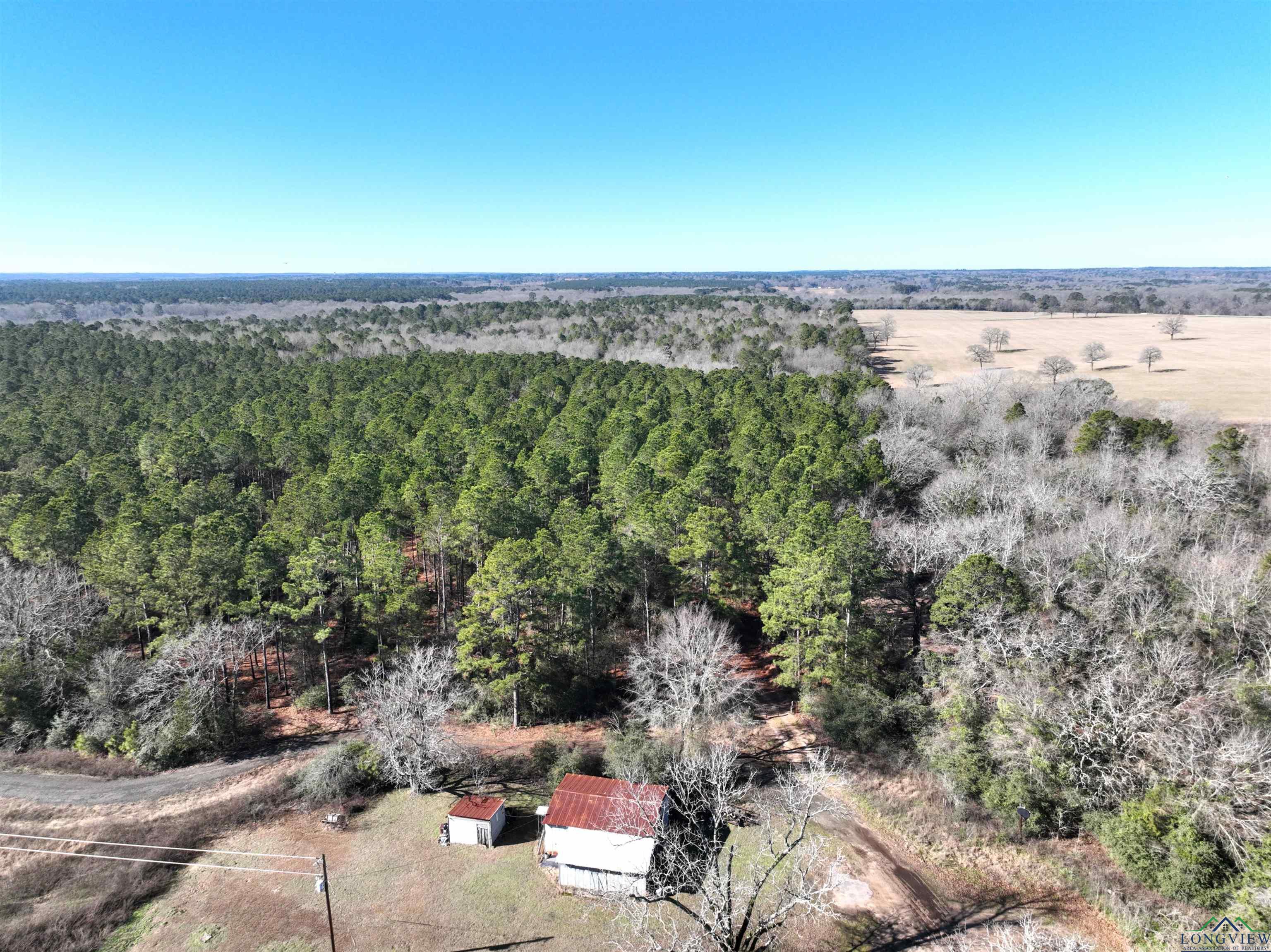 TBD Bamboo Road, Big Sandy, Texas image 2