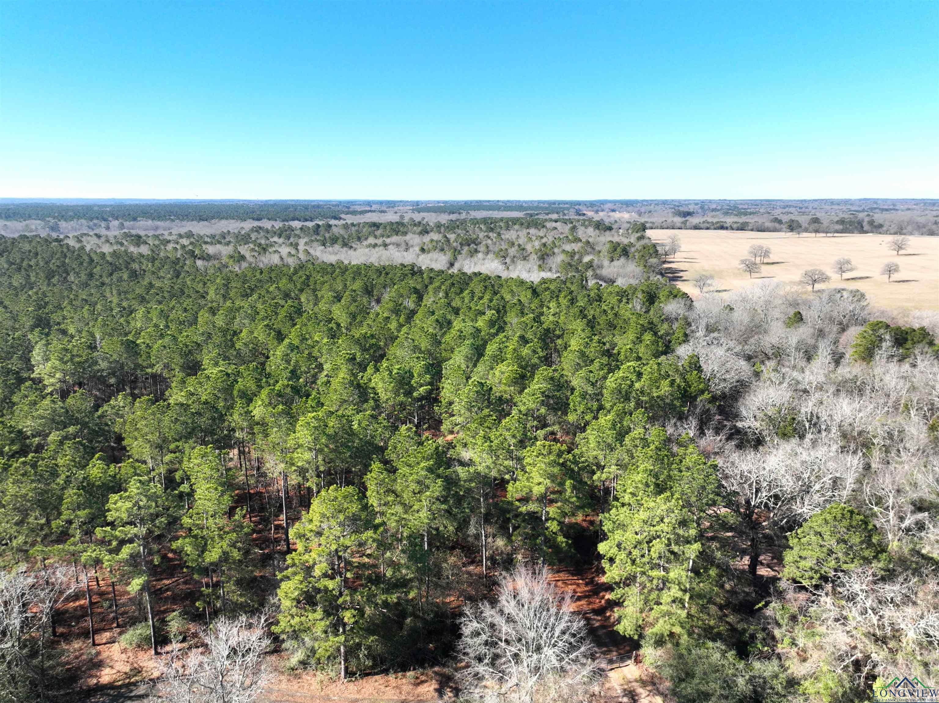 TBD Bamboo Road, Big Sandy, Texas image 19