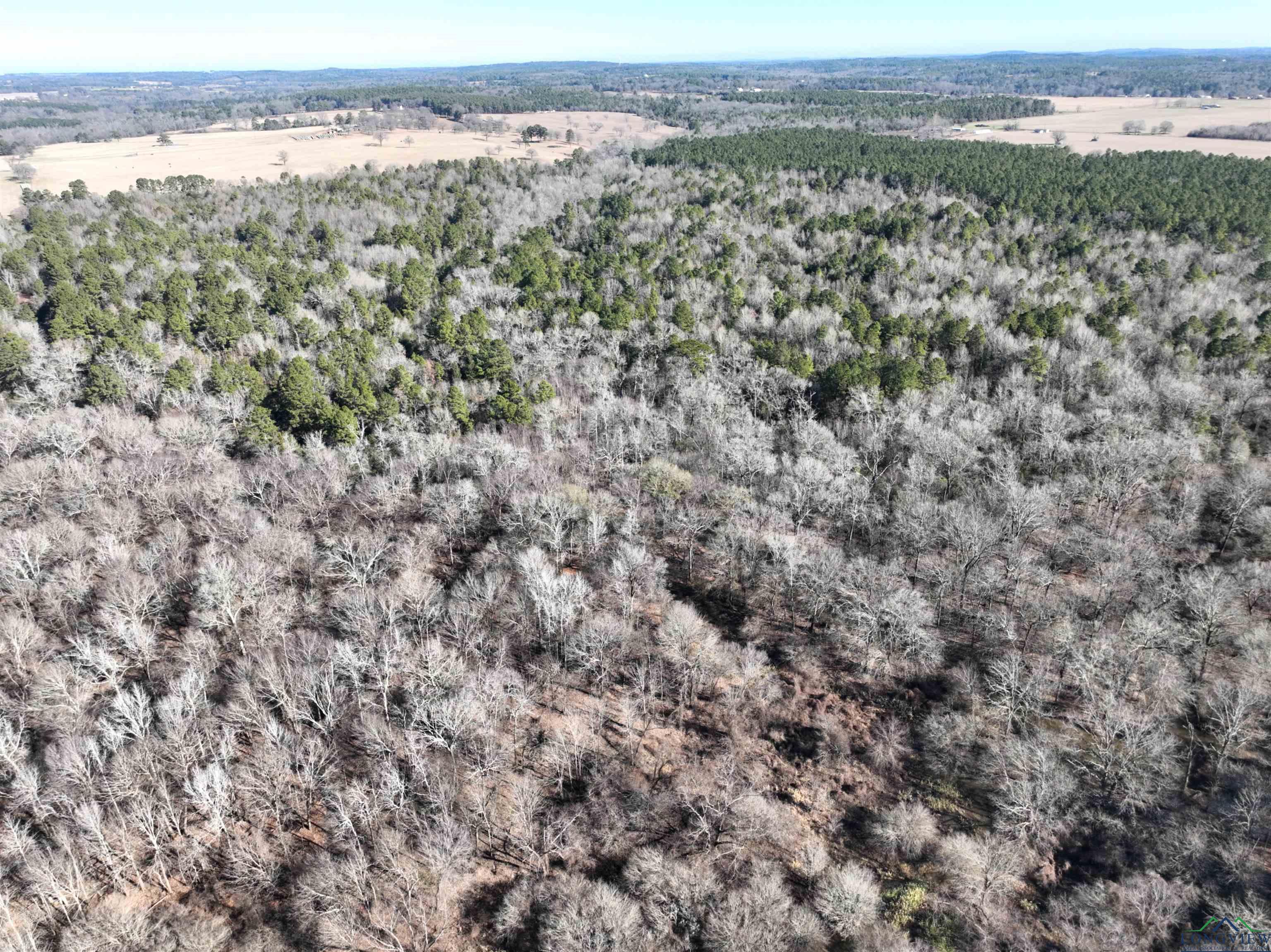 TBD Bamboo Road, Big Sandy, Texas image 13