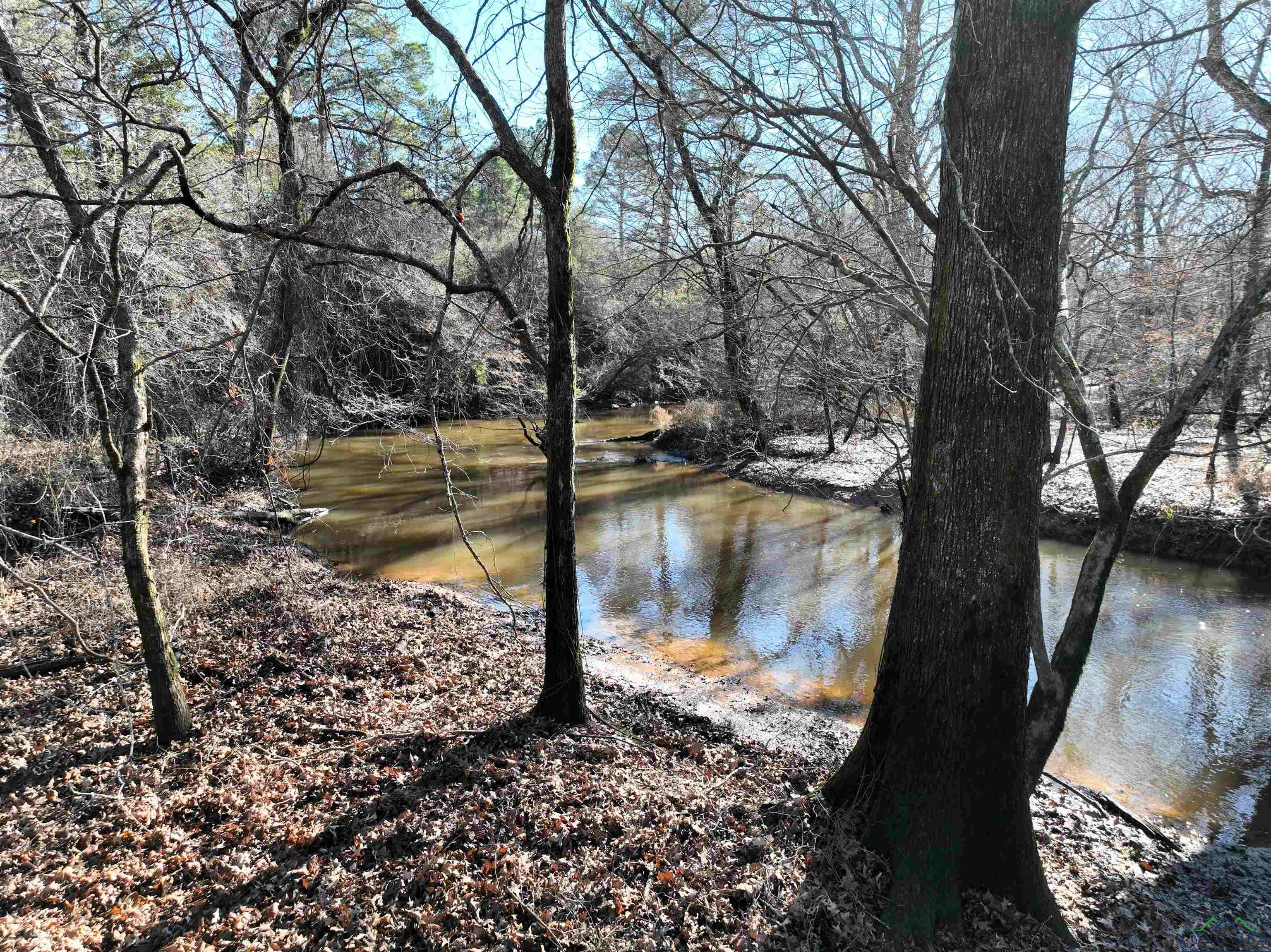 TBD Bamboo Road, Big Sandy, Texas image 3