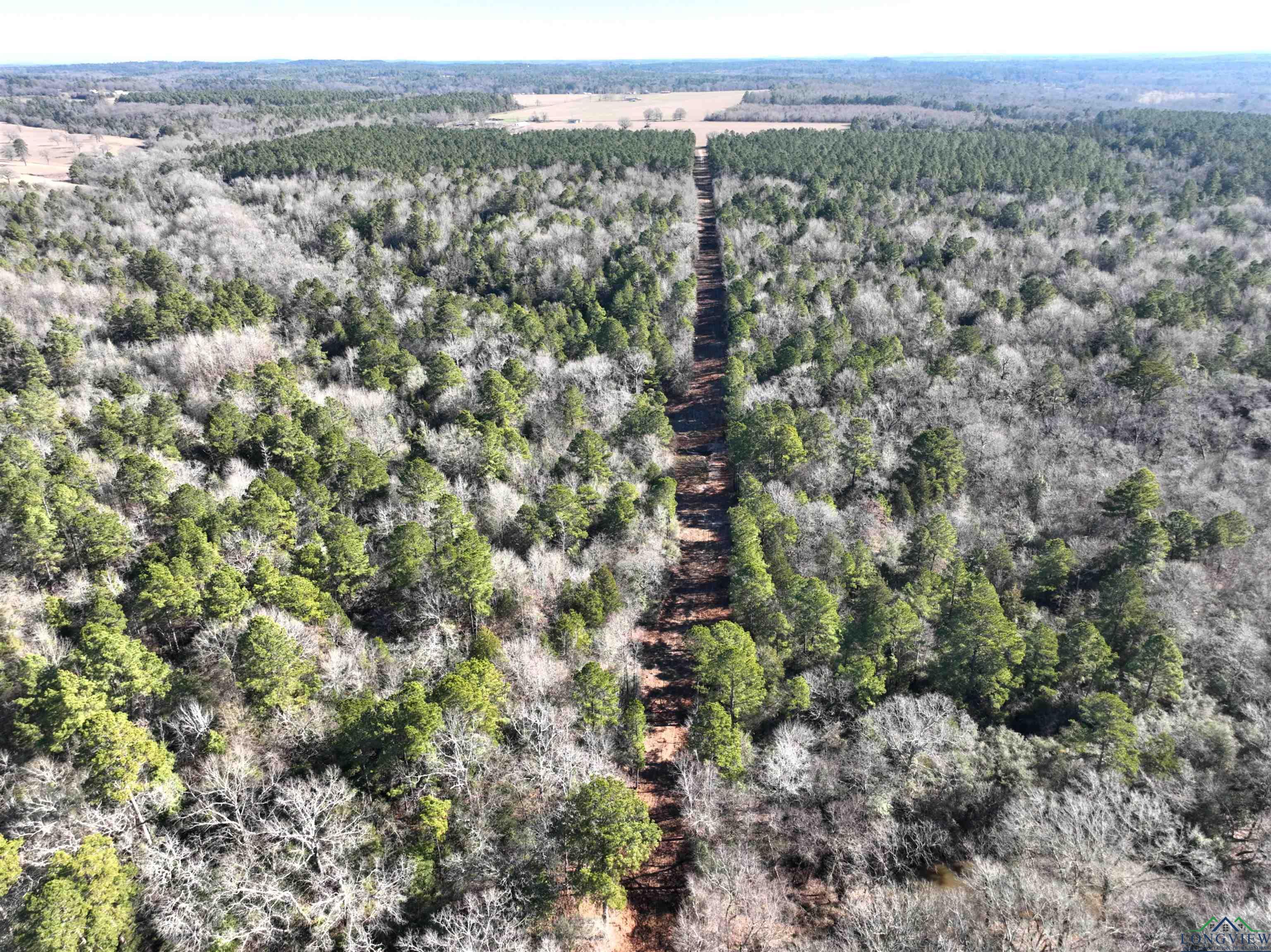 TBD Bamboo Road, Big Sandy, Texas image 15