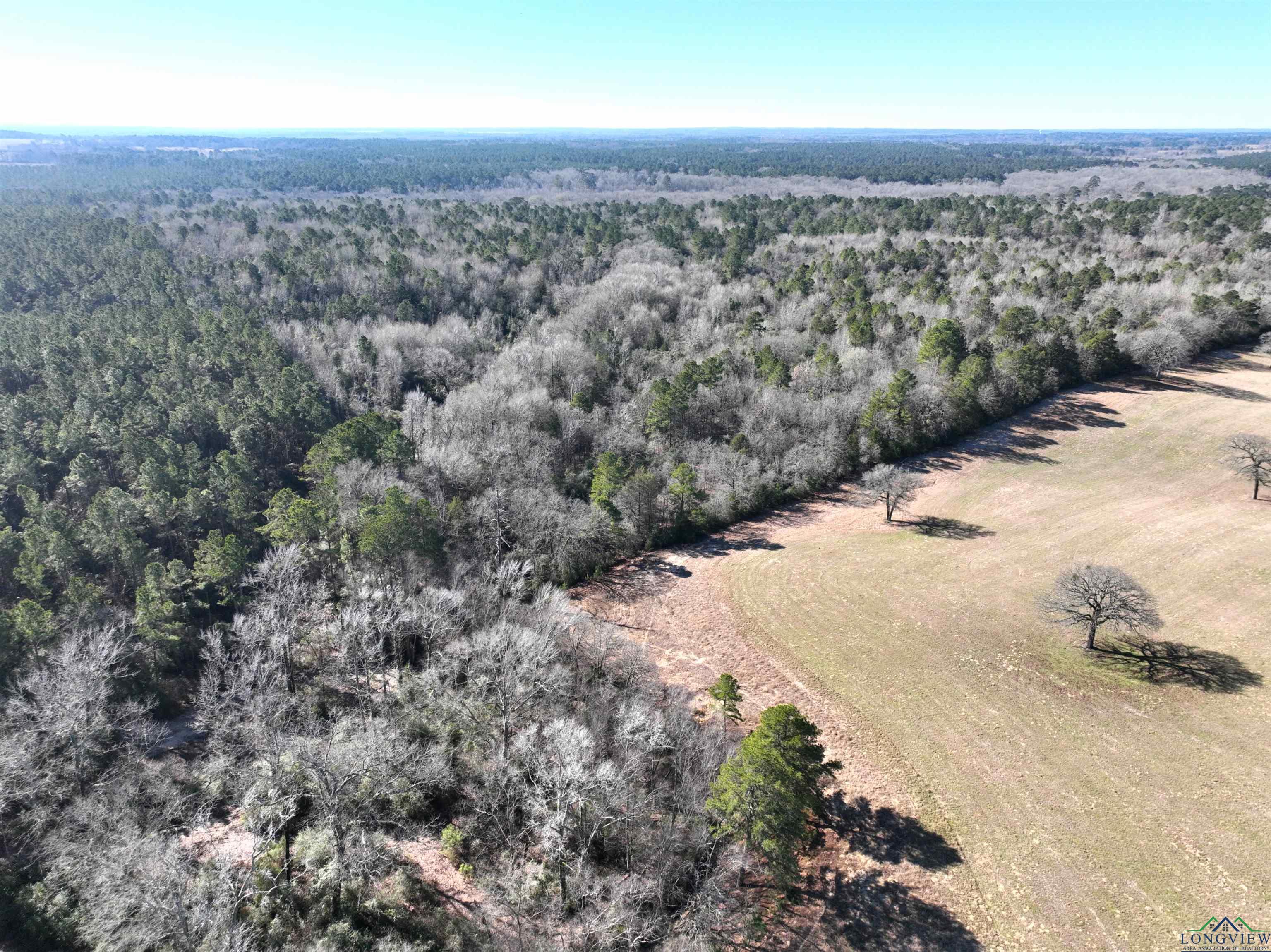 TBD Bamboo Road, Big Sandy, Texas image 18