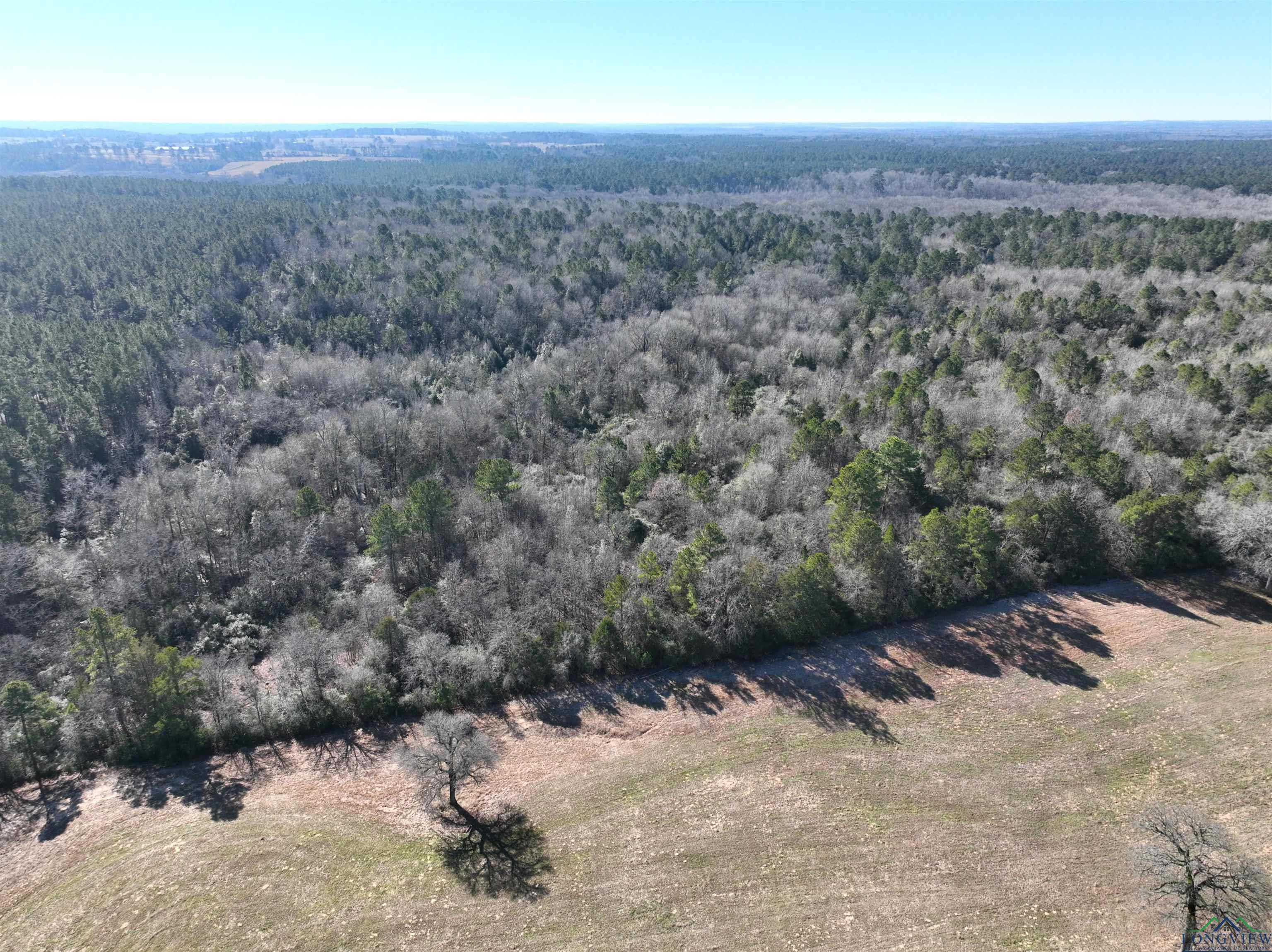 TBD Bamboo Road, Big Sandy, Texas image 7