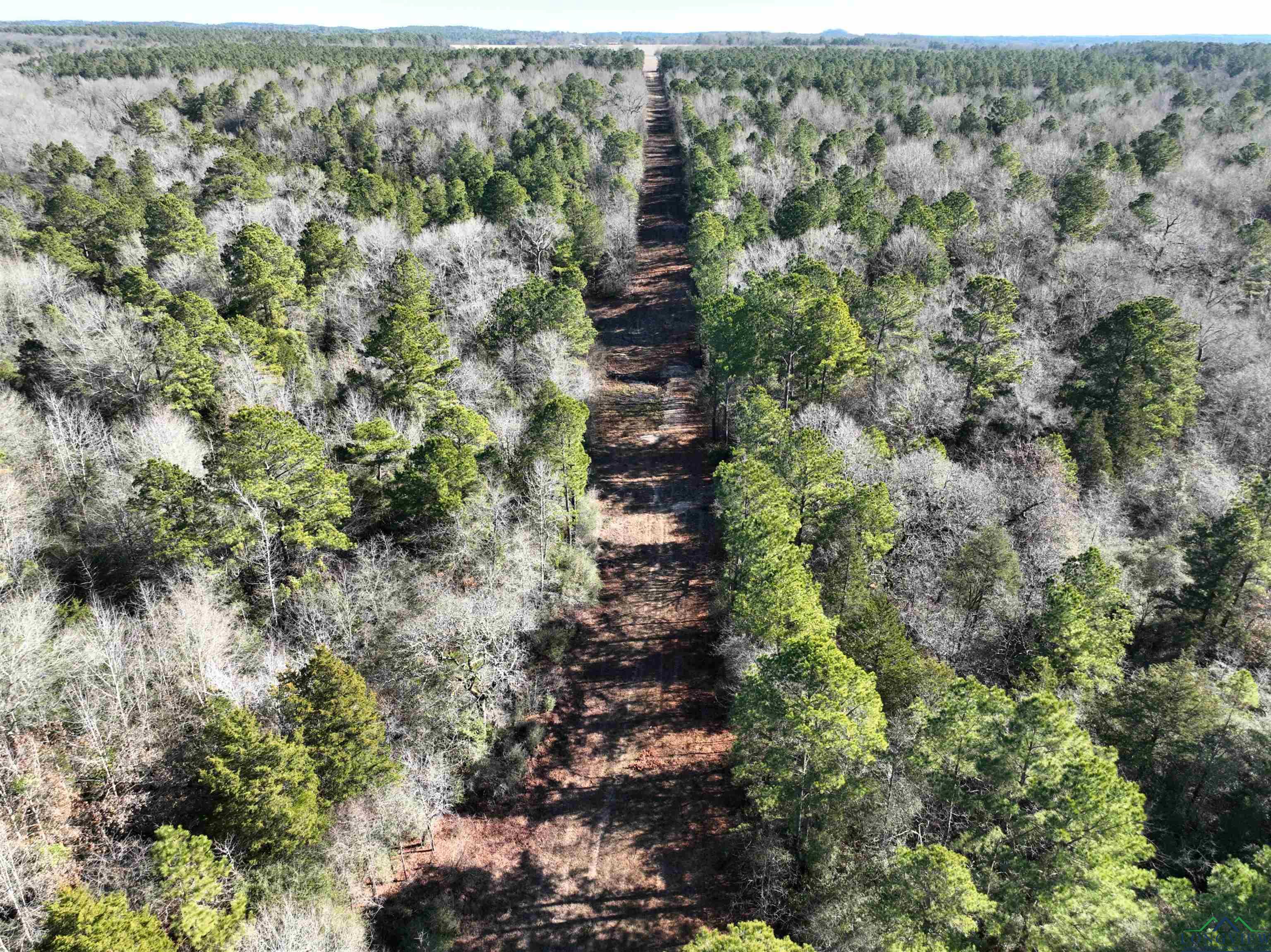 TBD Bamboo Road, Big Sandy, Texas image 5