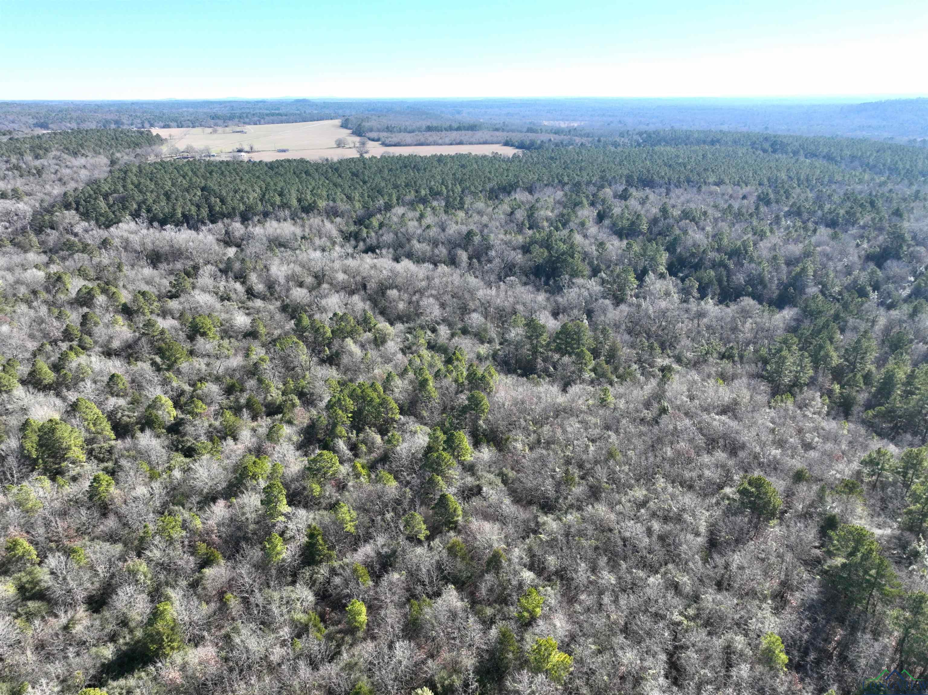 TBD Bamboo Road, Big Sandy, Texas image 16