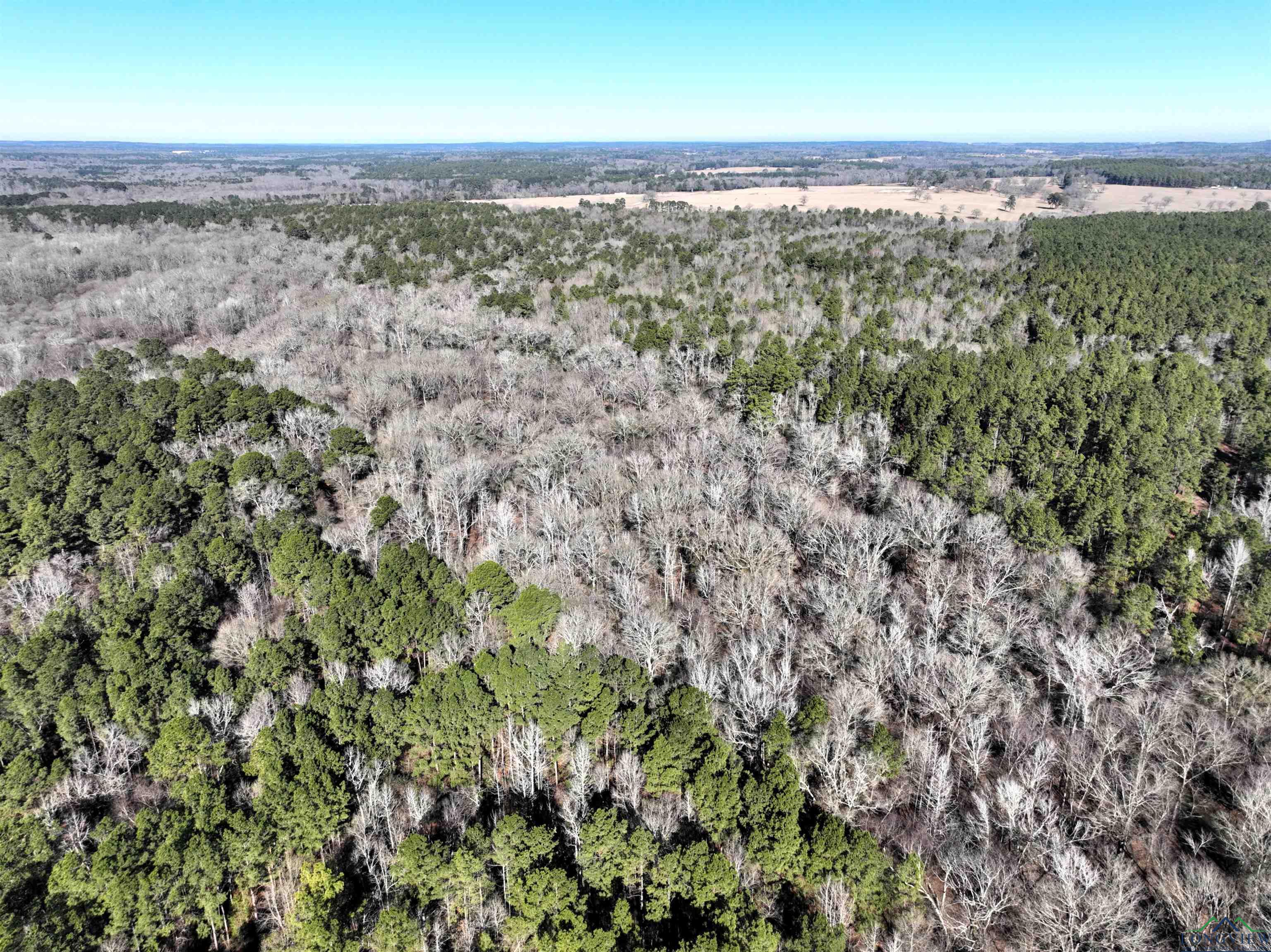 TBD Bamboo Road, Big Sandy, Texas image 9